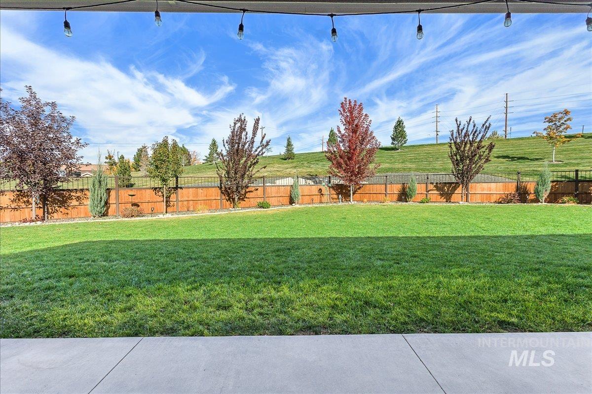 View of fenced backyard