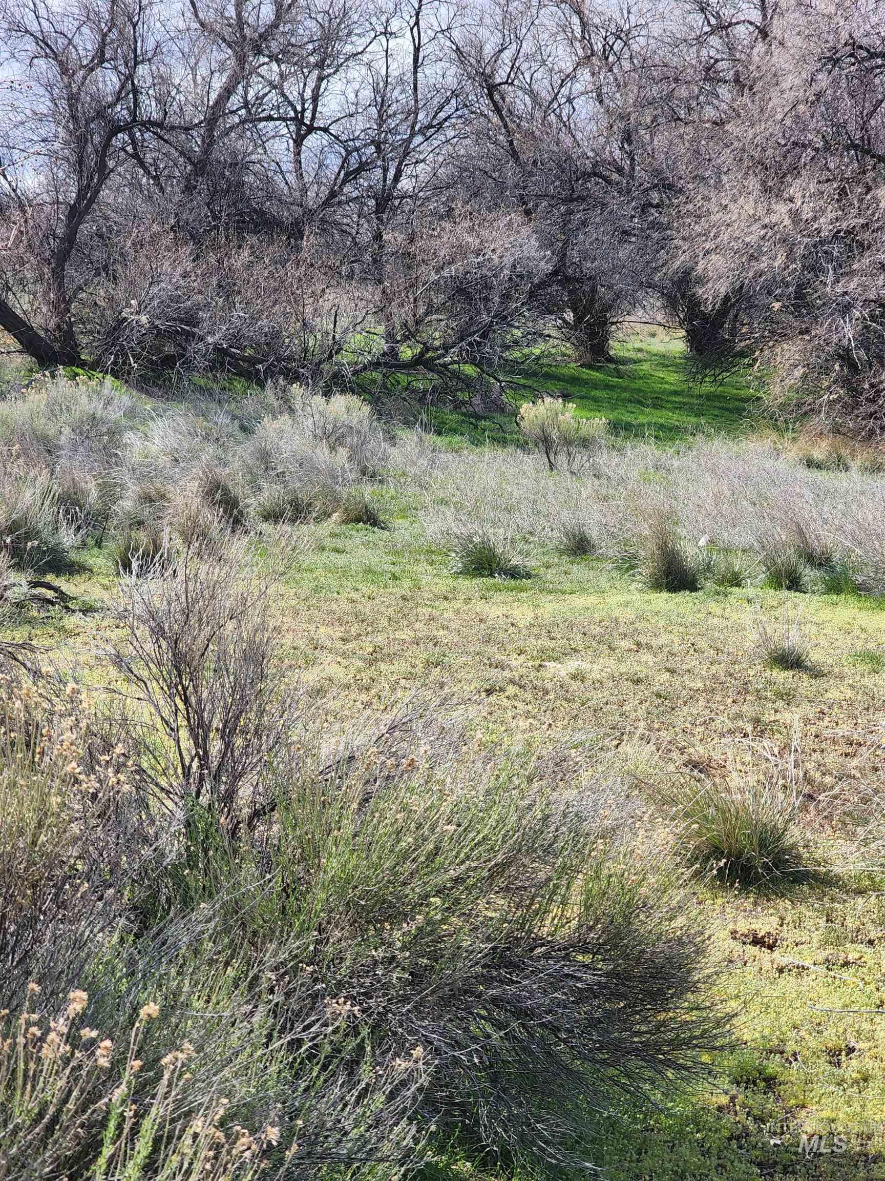 View of nature