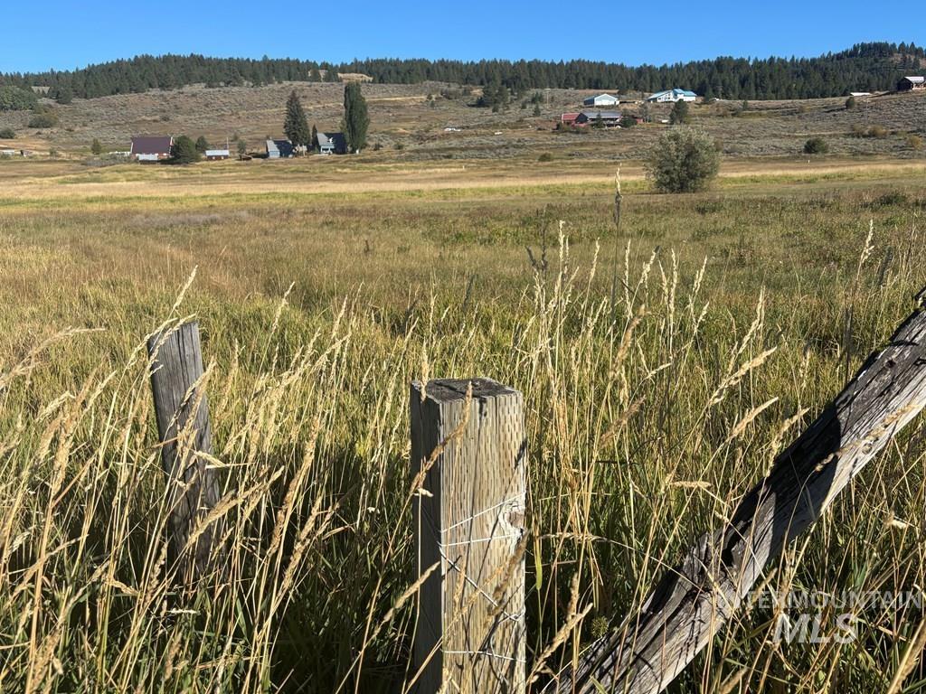 View of woods with a rural view