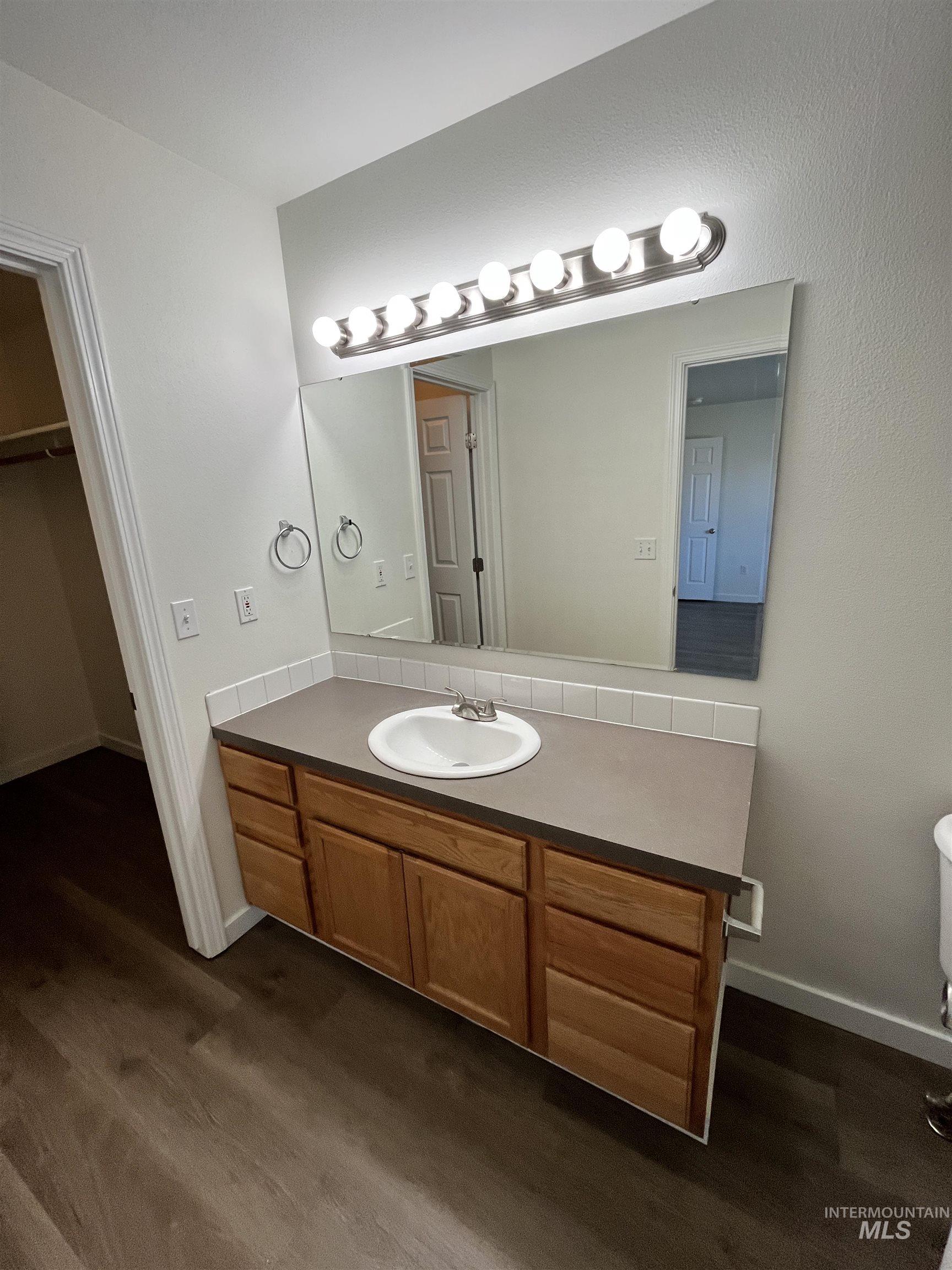 Bathroom featuring vanity, dark wood-style floors, and a spacious closet