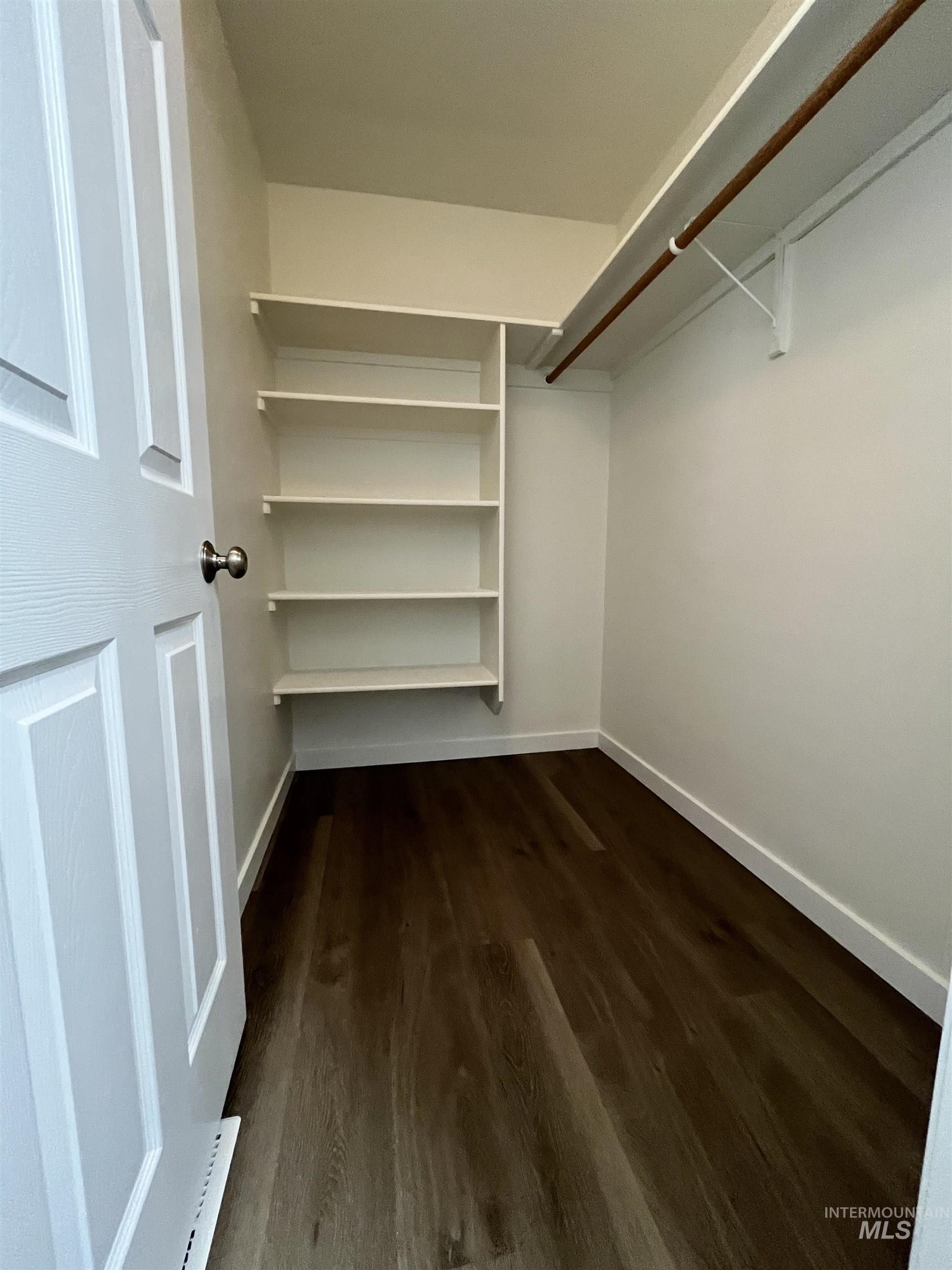 Walk in closet featuring dark wood-style flooring