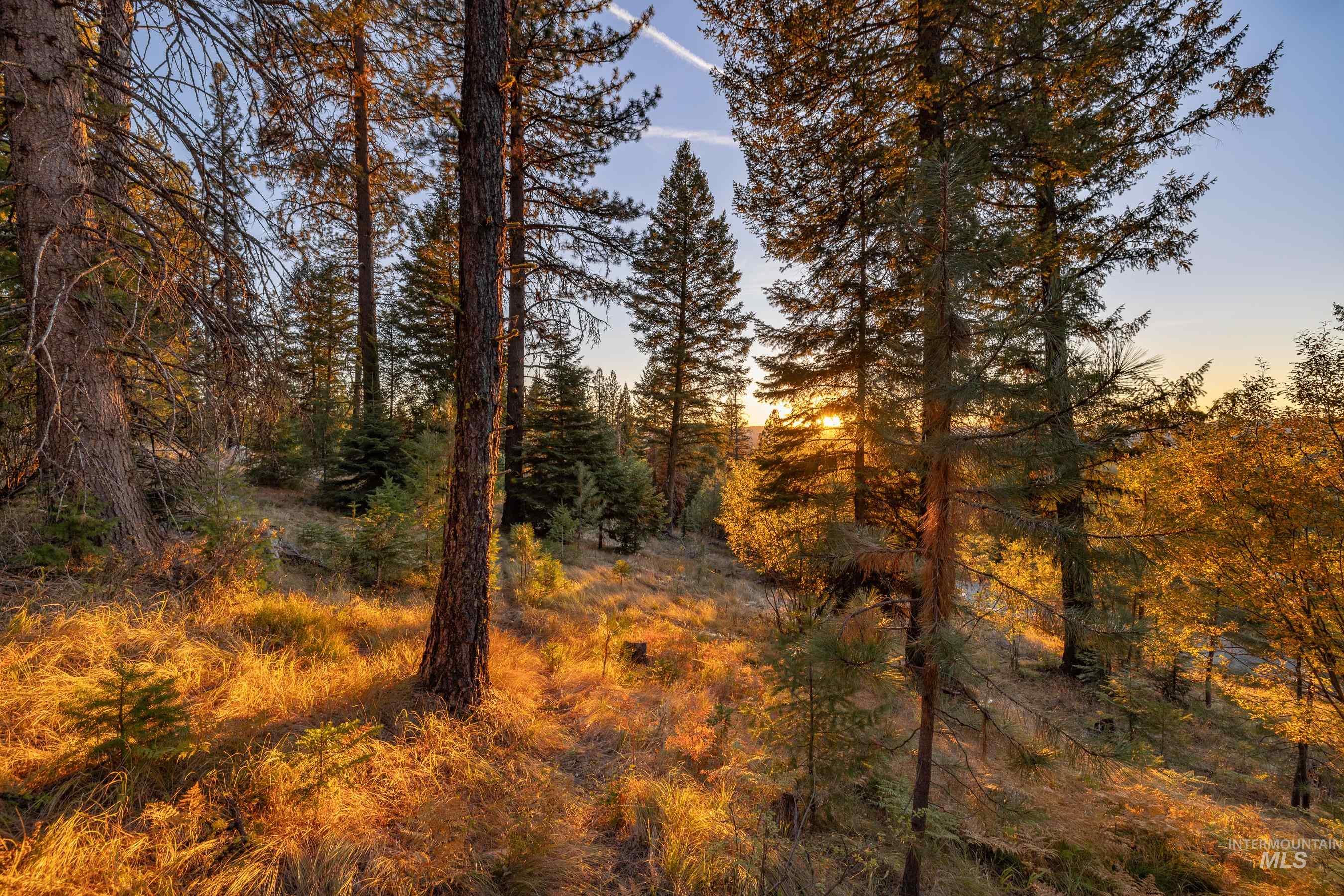 View of nature at dusk