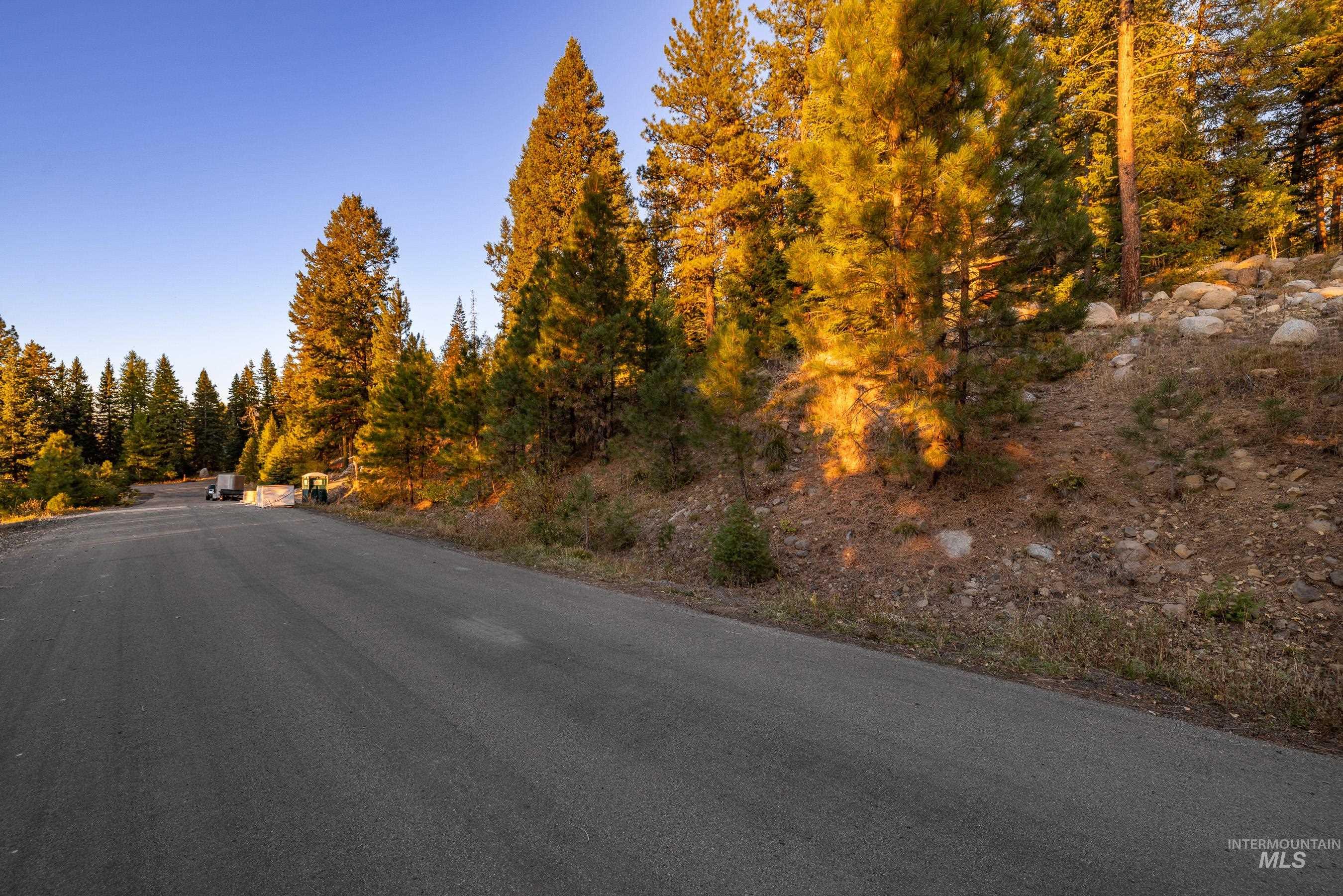 View of asphalt road featuring a forest view