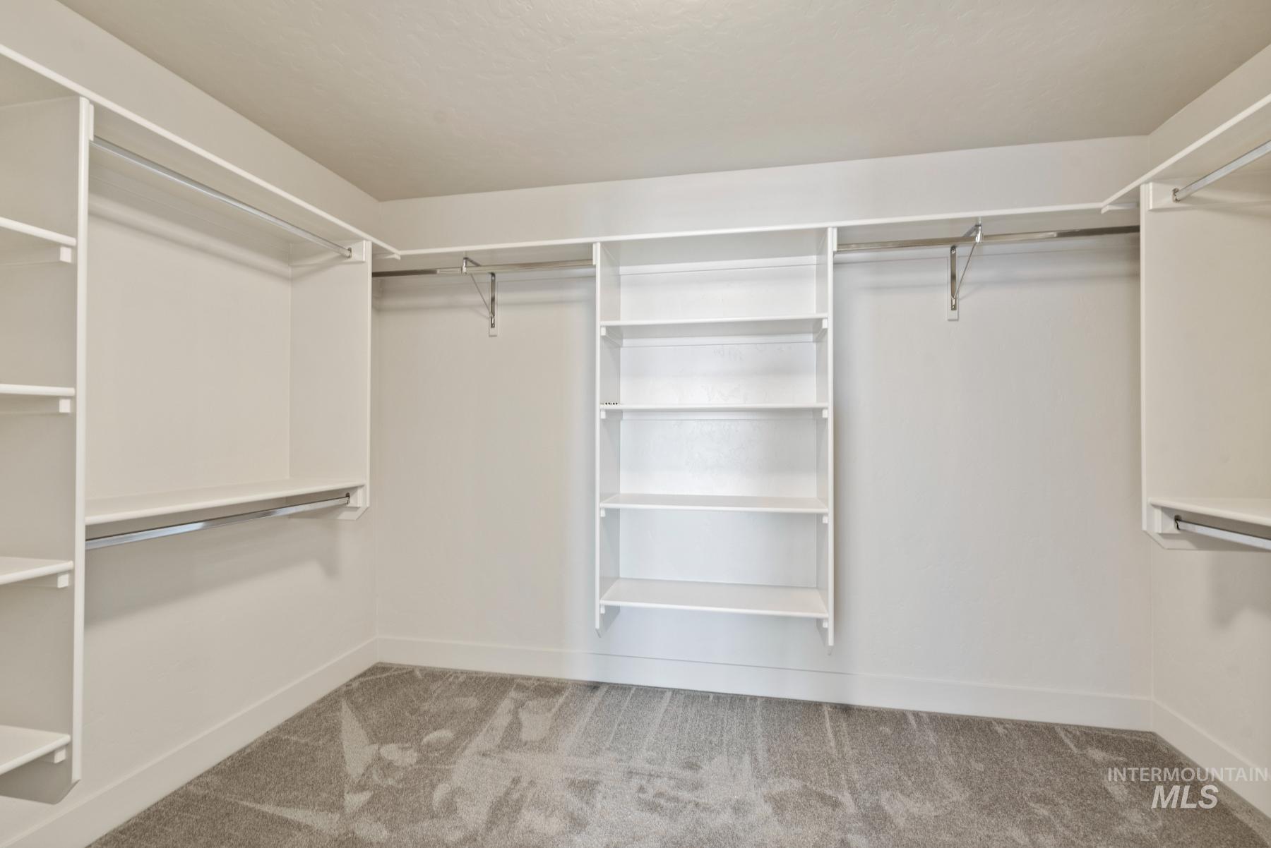 Walk in closet with light carpet