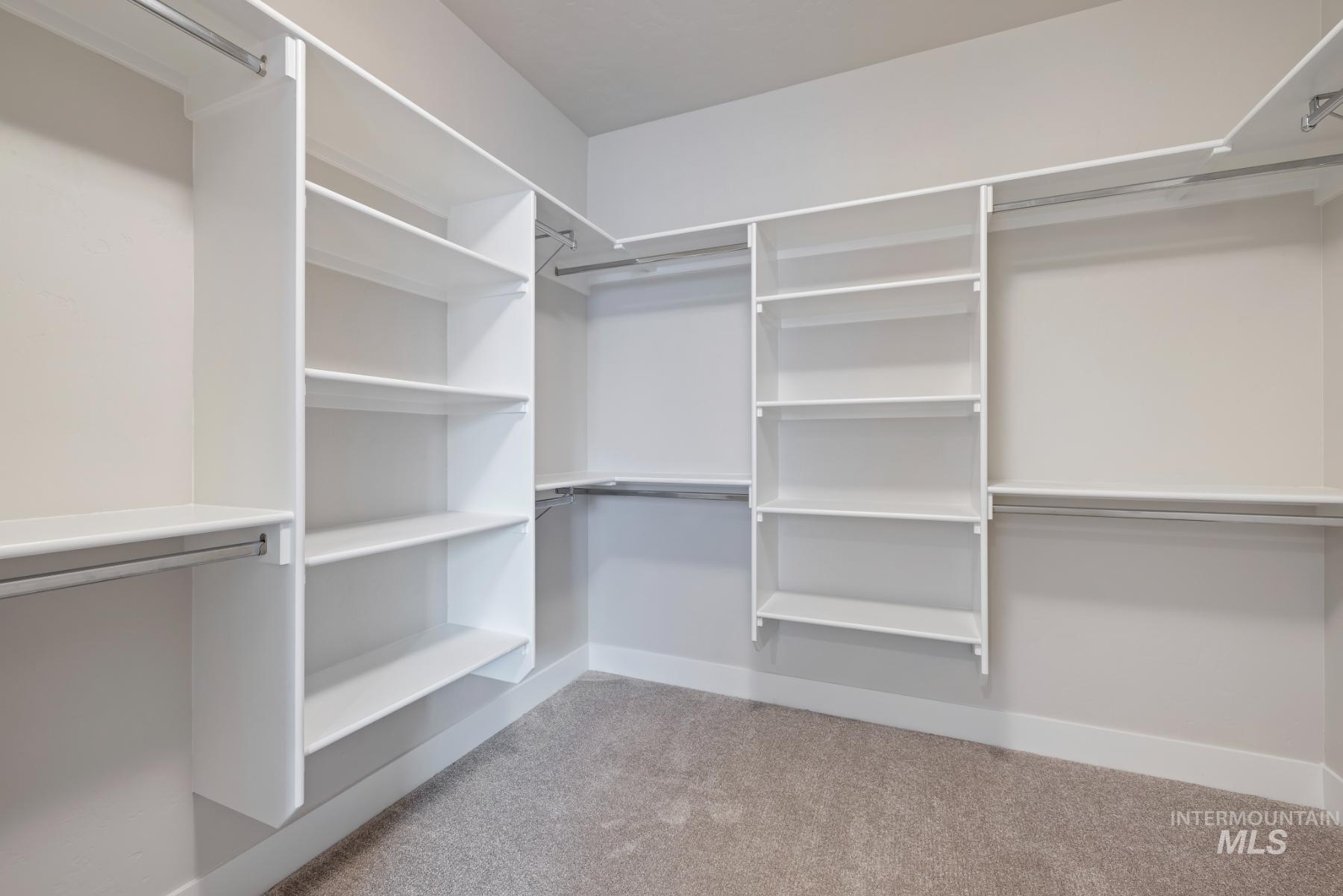 Walk in closet with light colored carpet