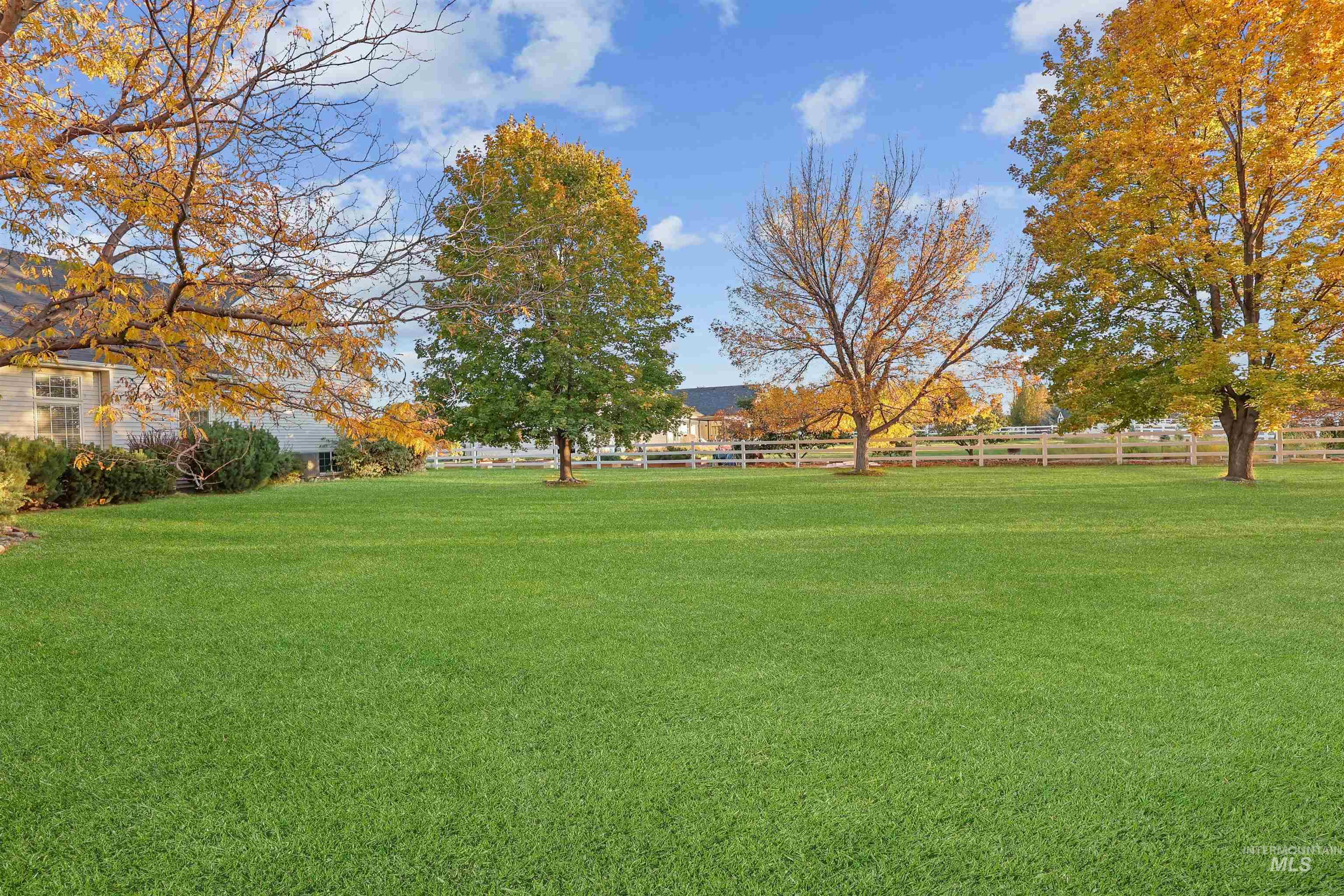 View of green lawn