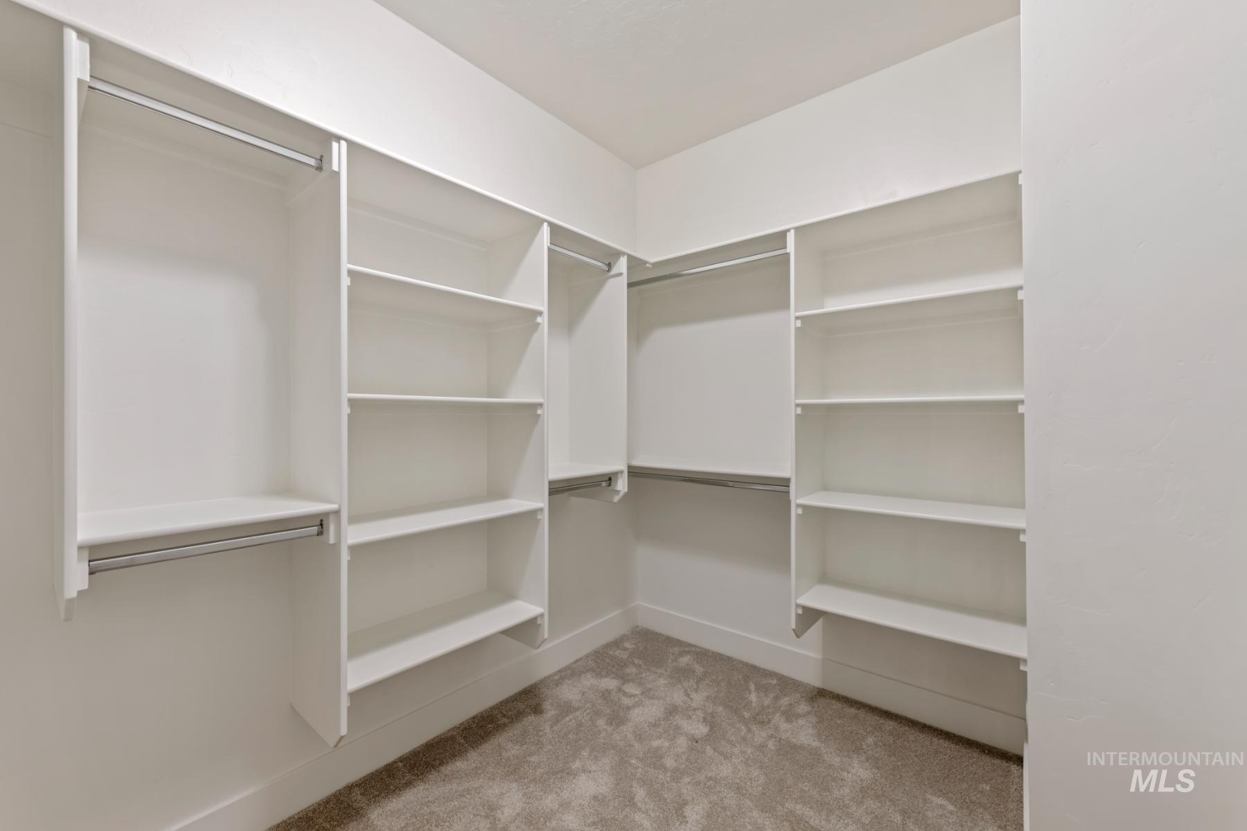 Spacious closet featuring light colored carpet