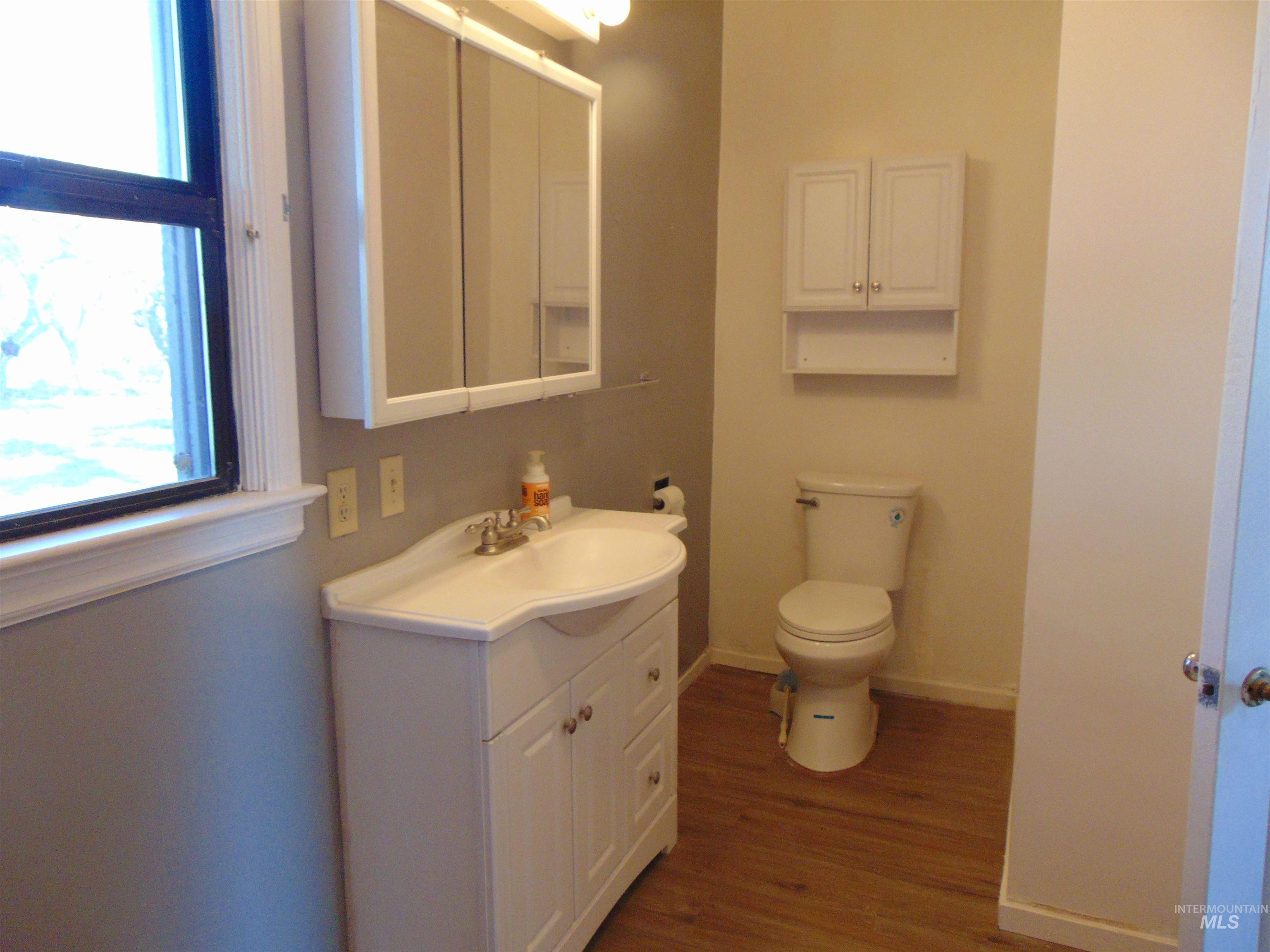 Half bathroom with vanity and dark wood-type flooring