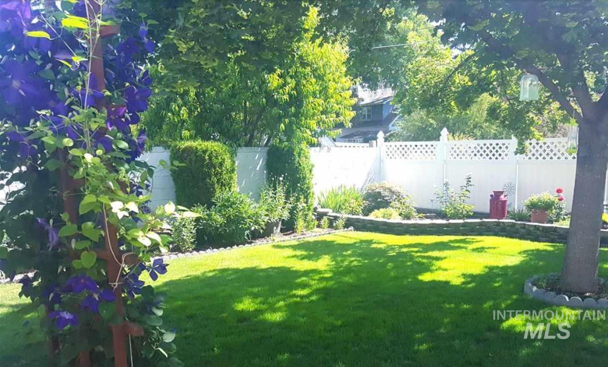 View of fenced backyard