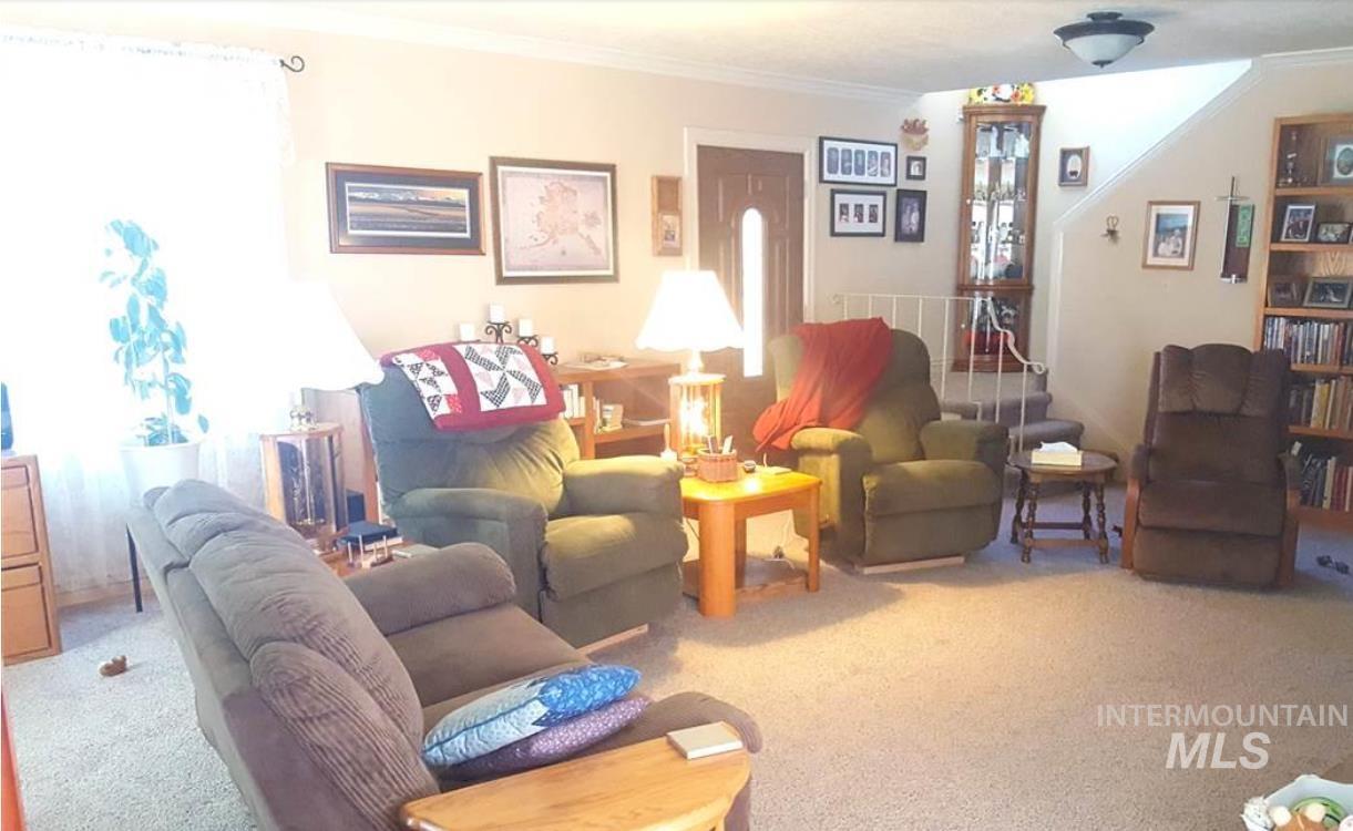 Carpeted living room featuring crown molding