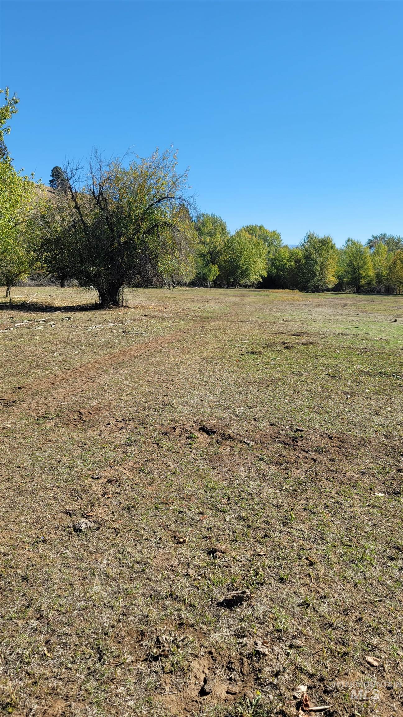 View of yard with a view of rural / pastoral area