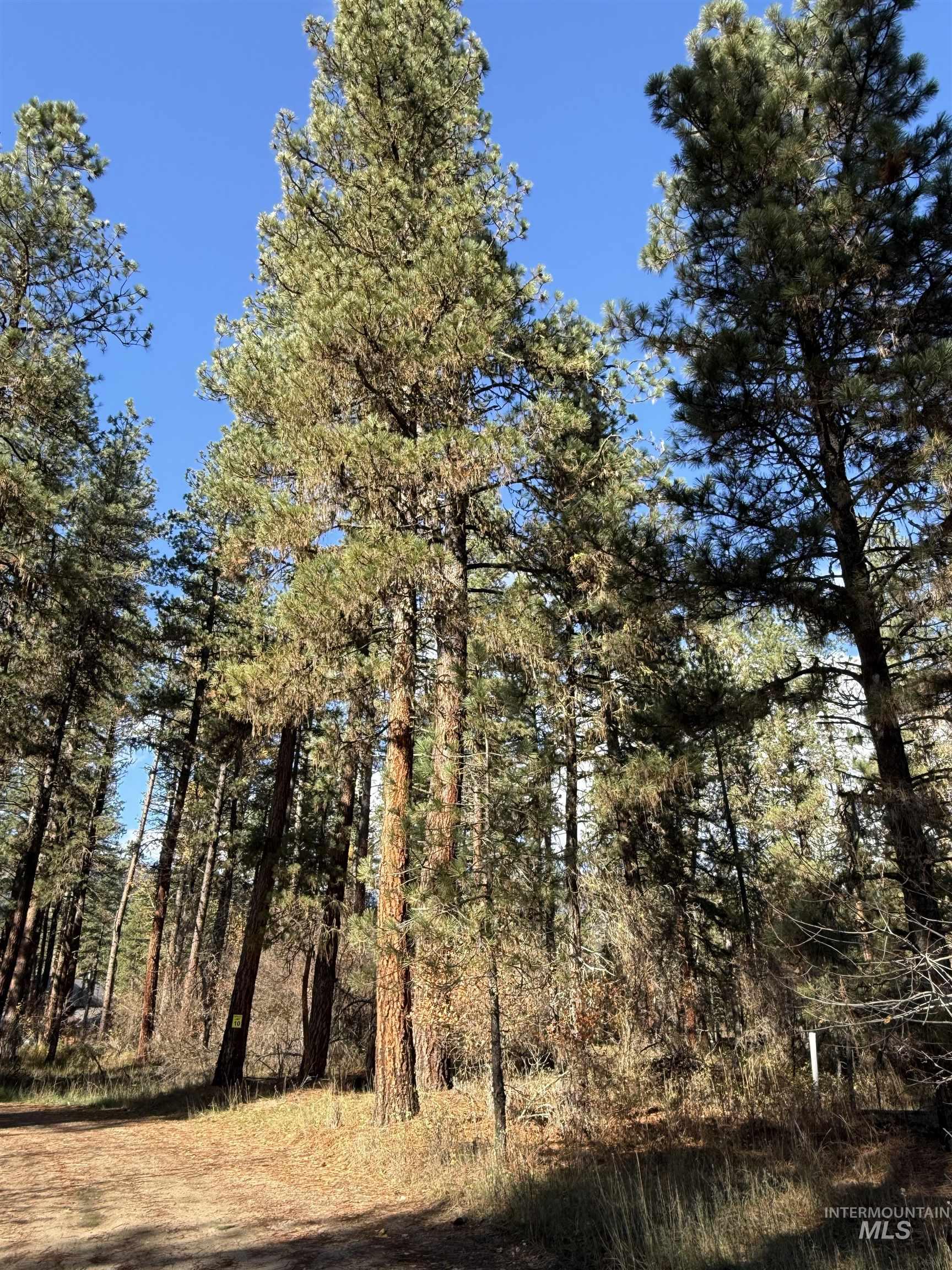 Lot 1 Lane C, Garden Valley, Idaho 83622, Land For Sale, Price $165,000, 98965903