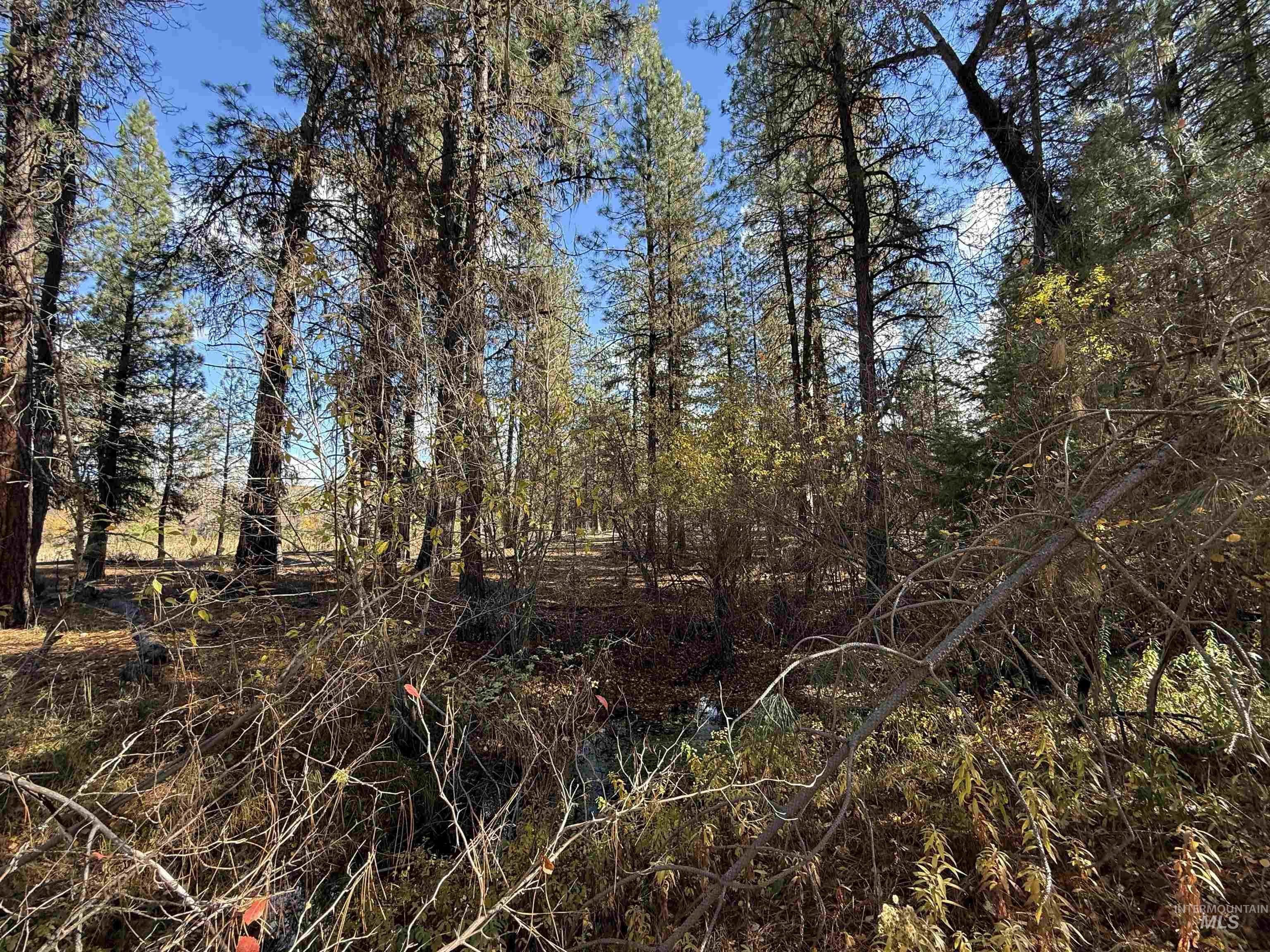 Lot 1 Lane C, Garden Valley, Idaho 83622, Land For Sale, Price $165,000, 98965903