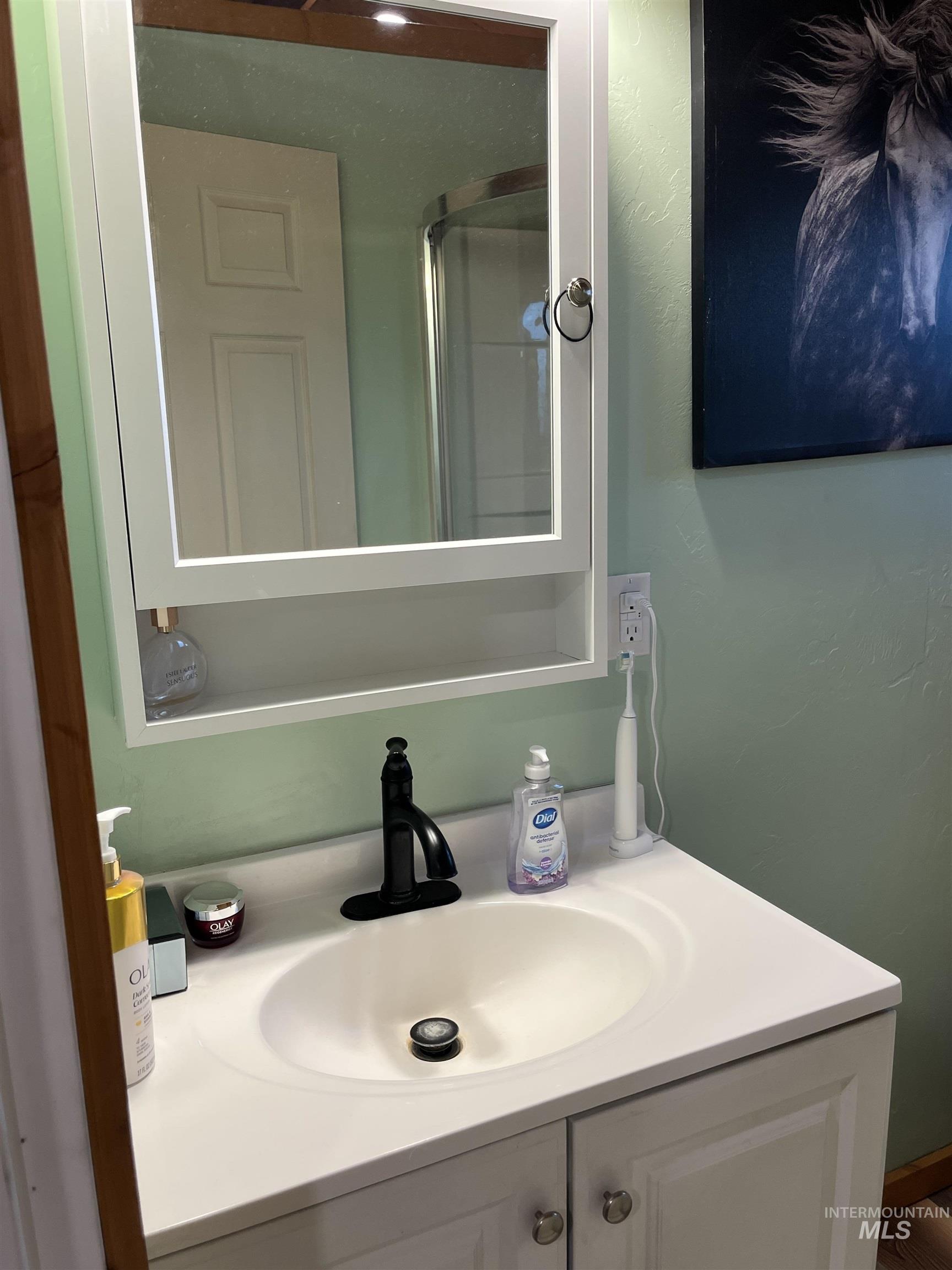 Bathroom featuring vanity and a shower with shower door
