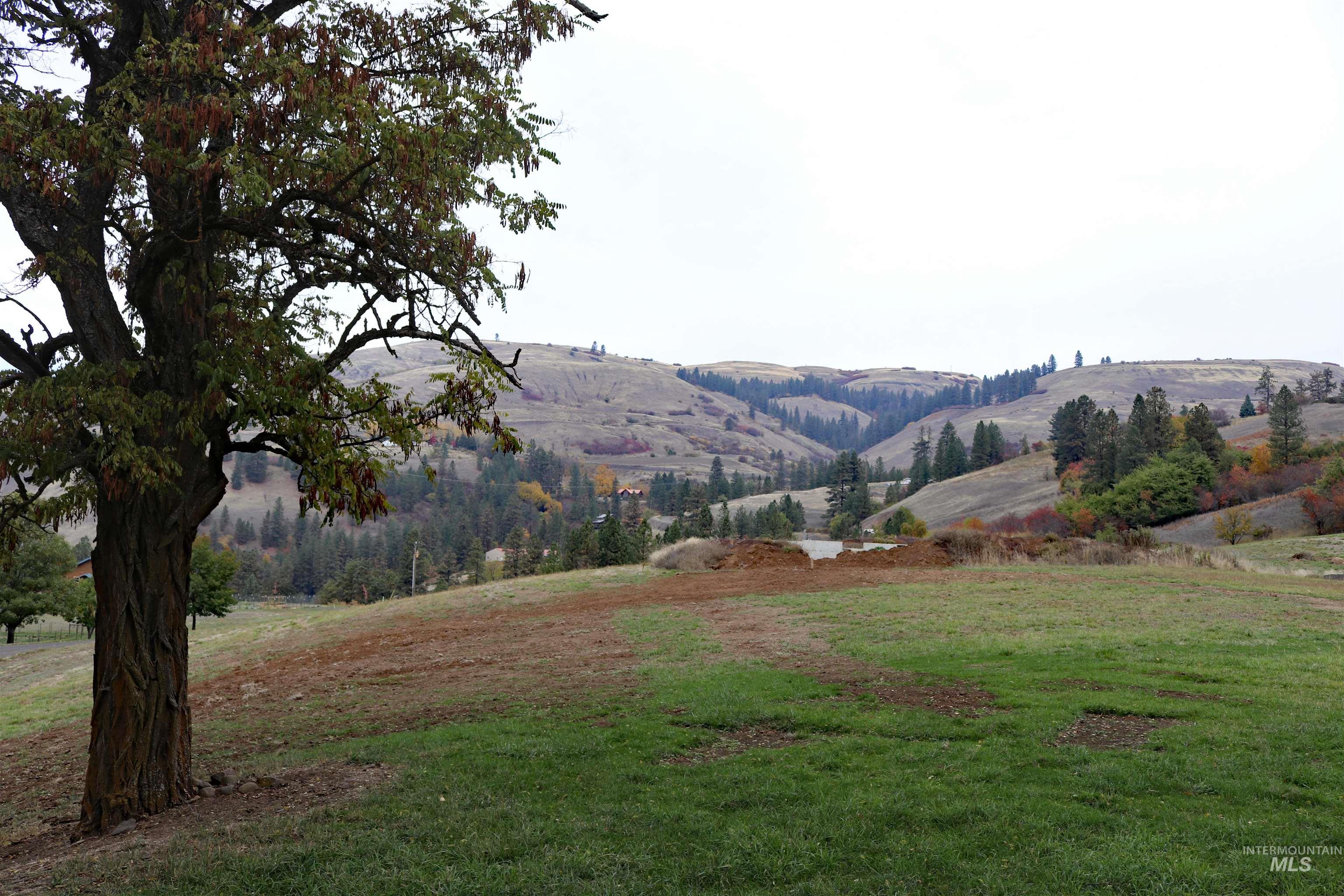 19975 Orchard Lane, Lenore, Idaho 83541, Land For Sale, Price $345,000, 98965920