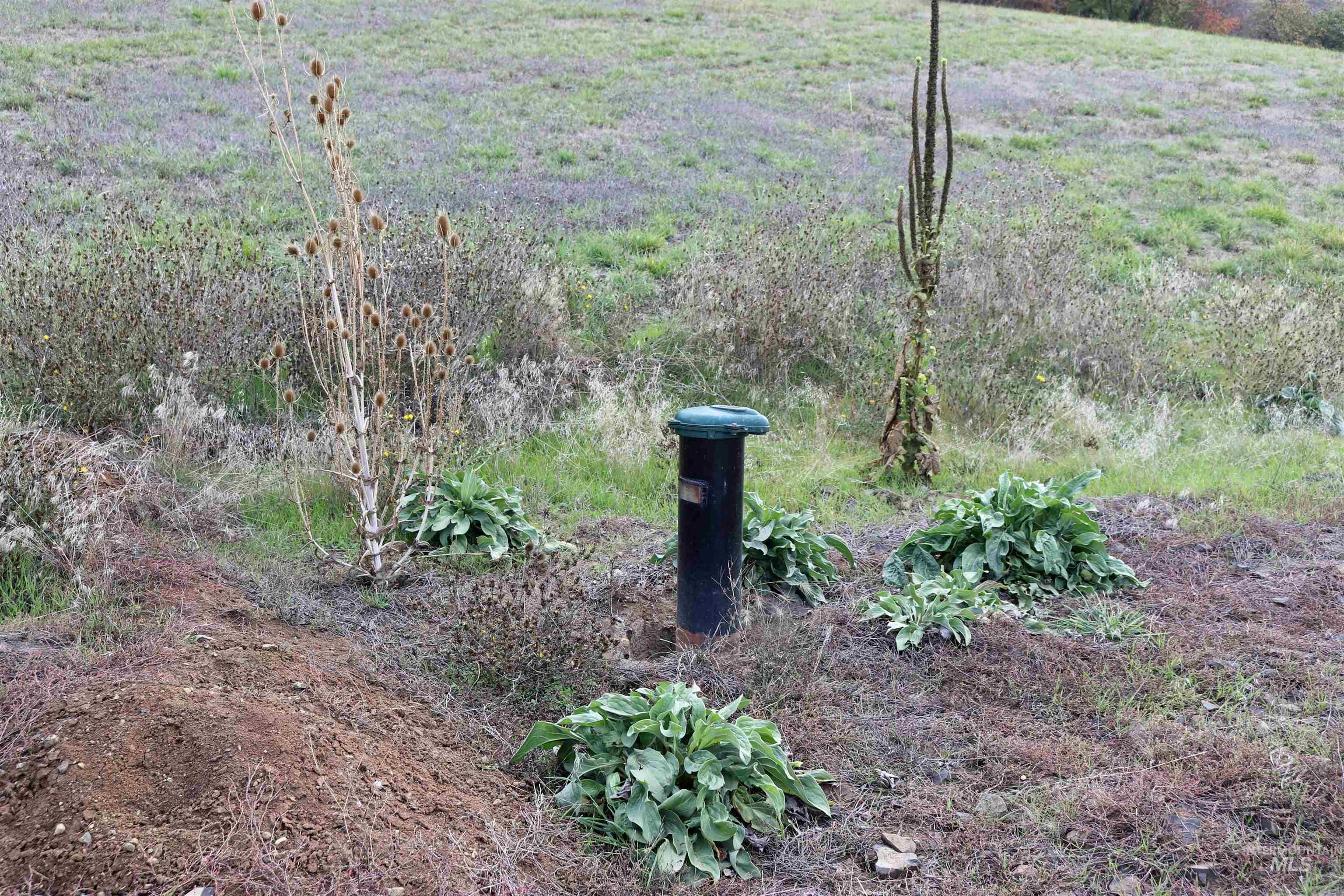 19975 Orchard Lane, Lenore, Idaho 83541, Land For Sale, Price $345,000, 98965920