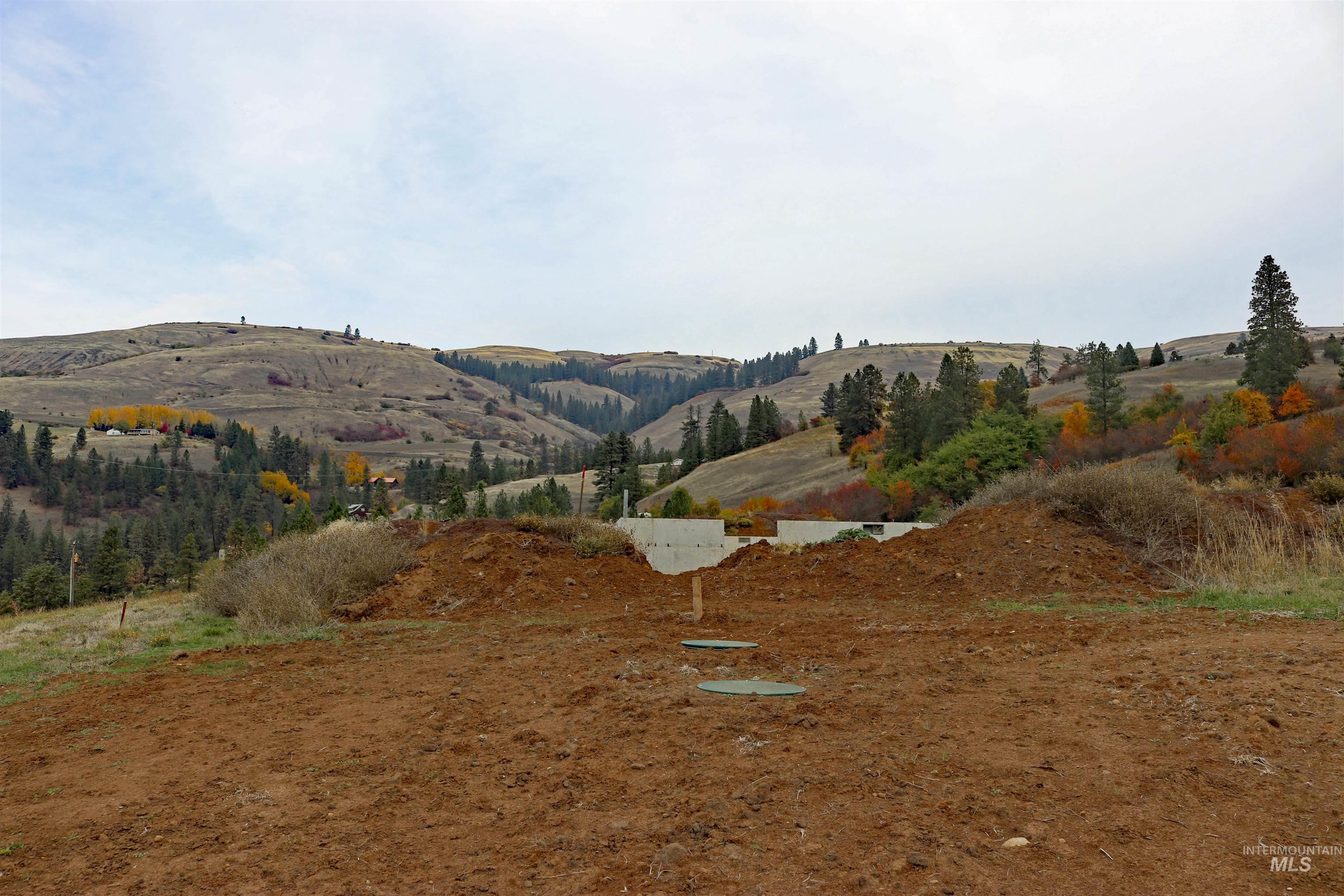 19975 Orchard Lane, Lenore, Idaho 83541, Land For Sale, Price $345,000, 98965920