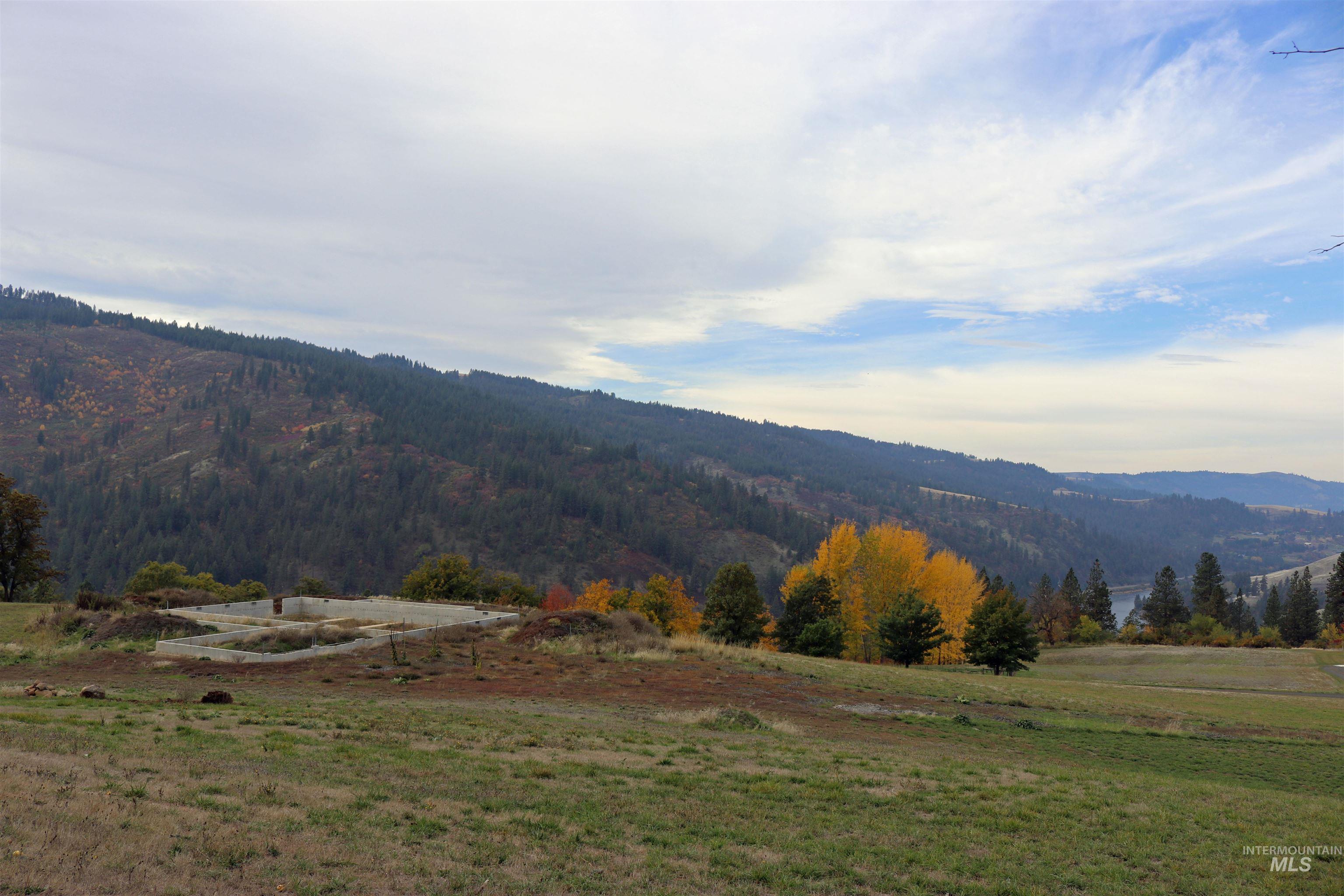 19975 Orchard Lane, Lenore, Idaho 83541, Land For Sale, Price $345,000, 98965920