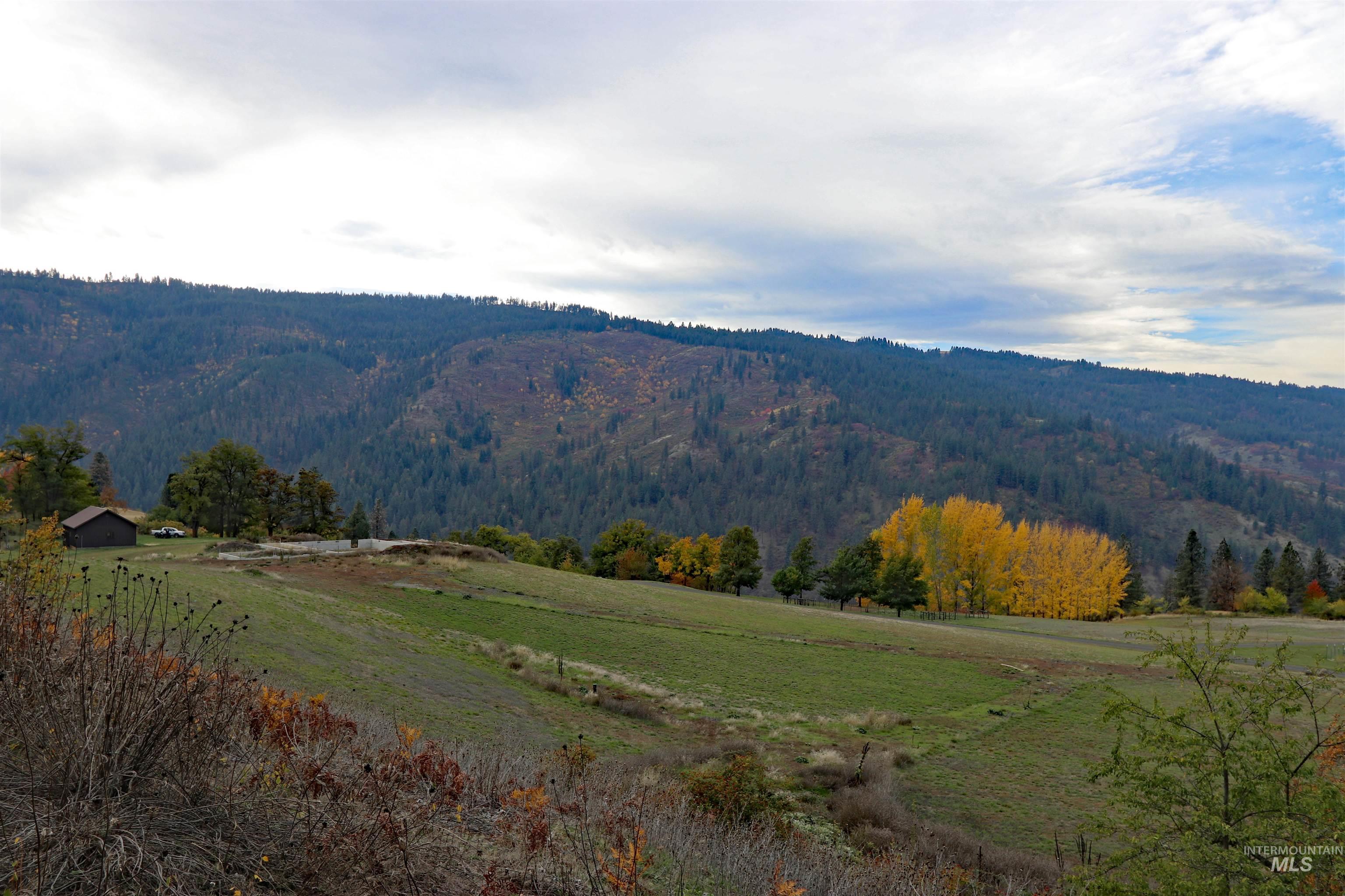 19975 Orchard Lane, Lenore, Idaho 83541, Land For Sale, Price $345,000, 98965920