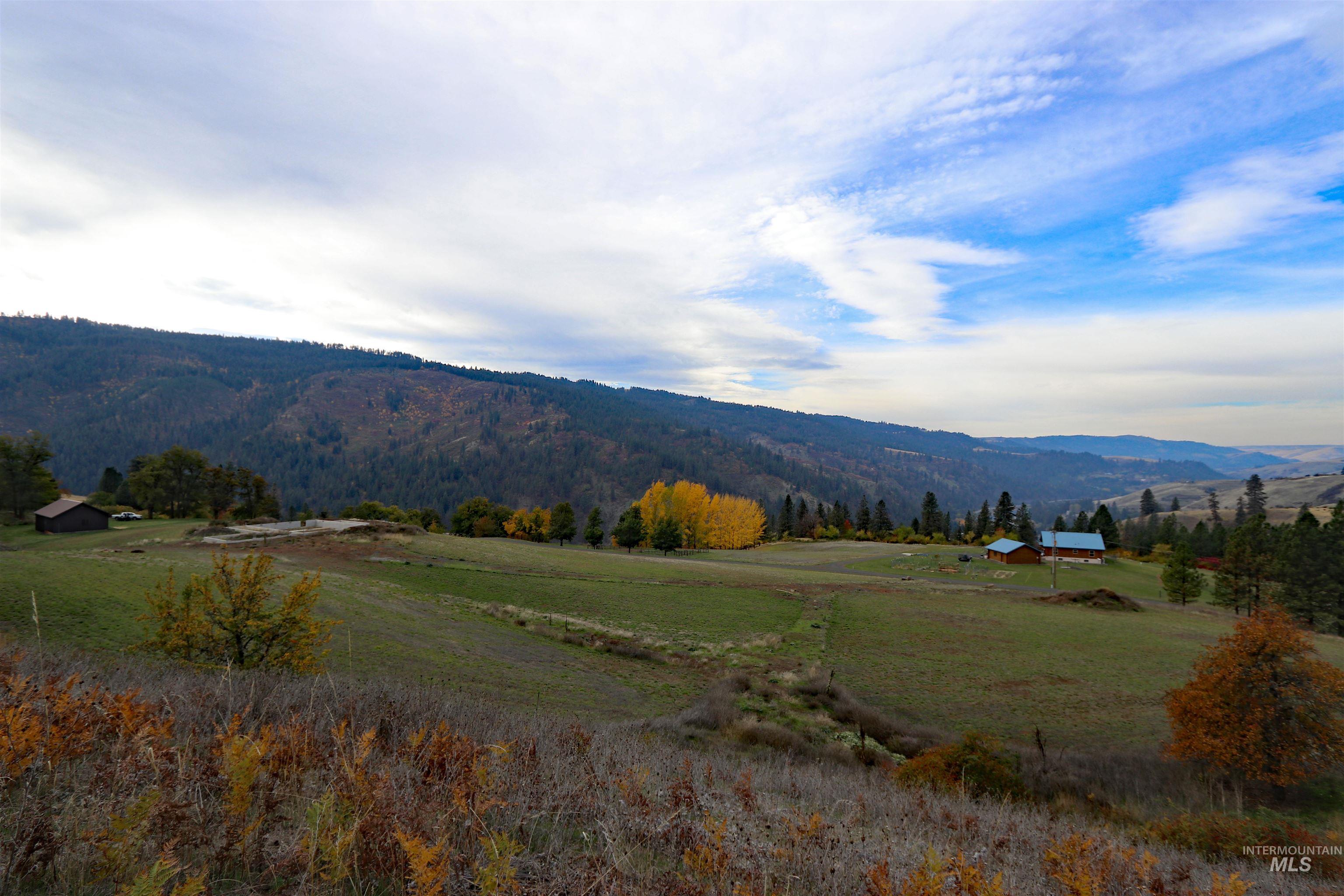 19975 Orchard Lane, Lenore, Idaho 83541, Land For Sale, Price $345,000, 98965920