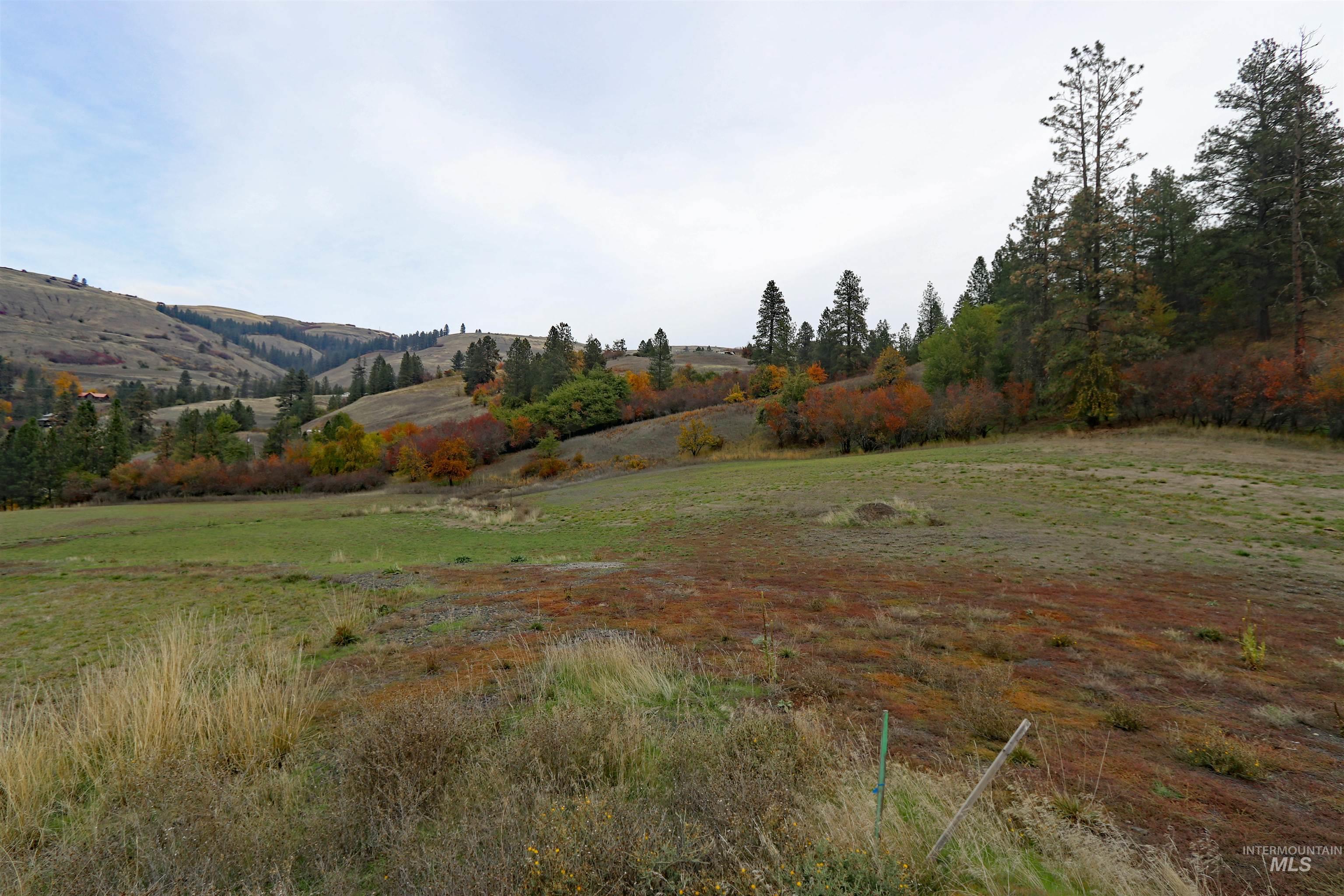 19975 Orchard Lane, Lenore, Idaho 83541, Land For Sale, Price $345,000, 98965920
