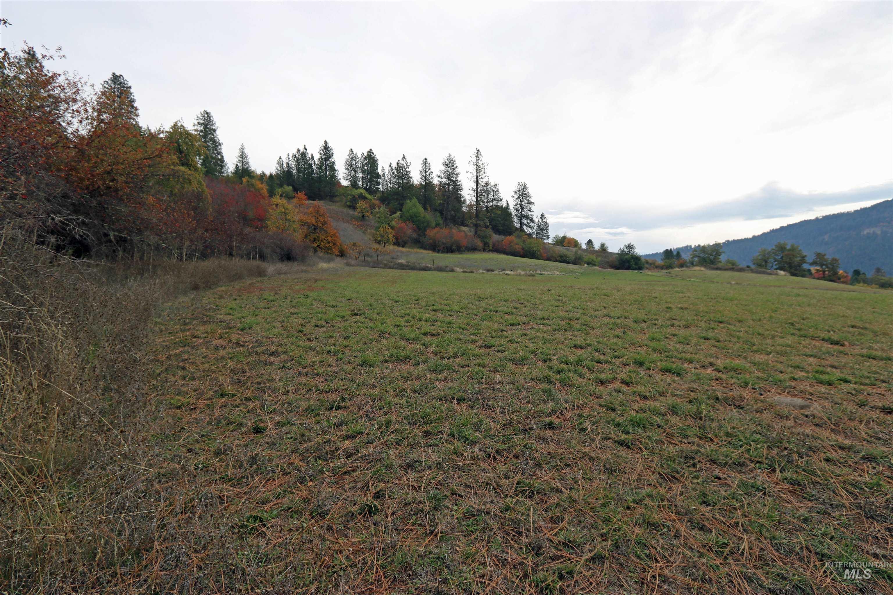 19975 Orchard Lane, Lenore, Idaho 83541, Land For Sale, Price $345,000, 98965920