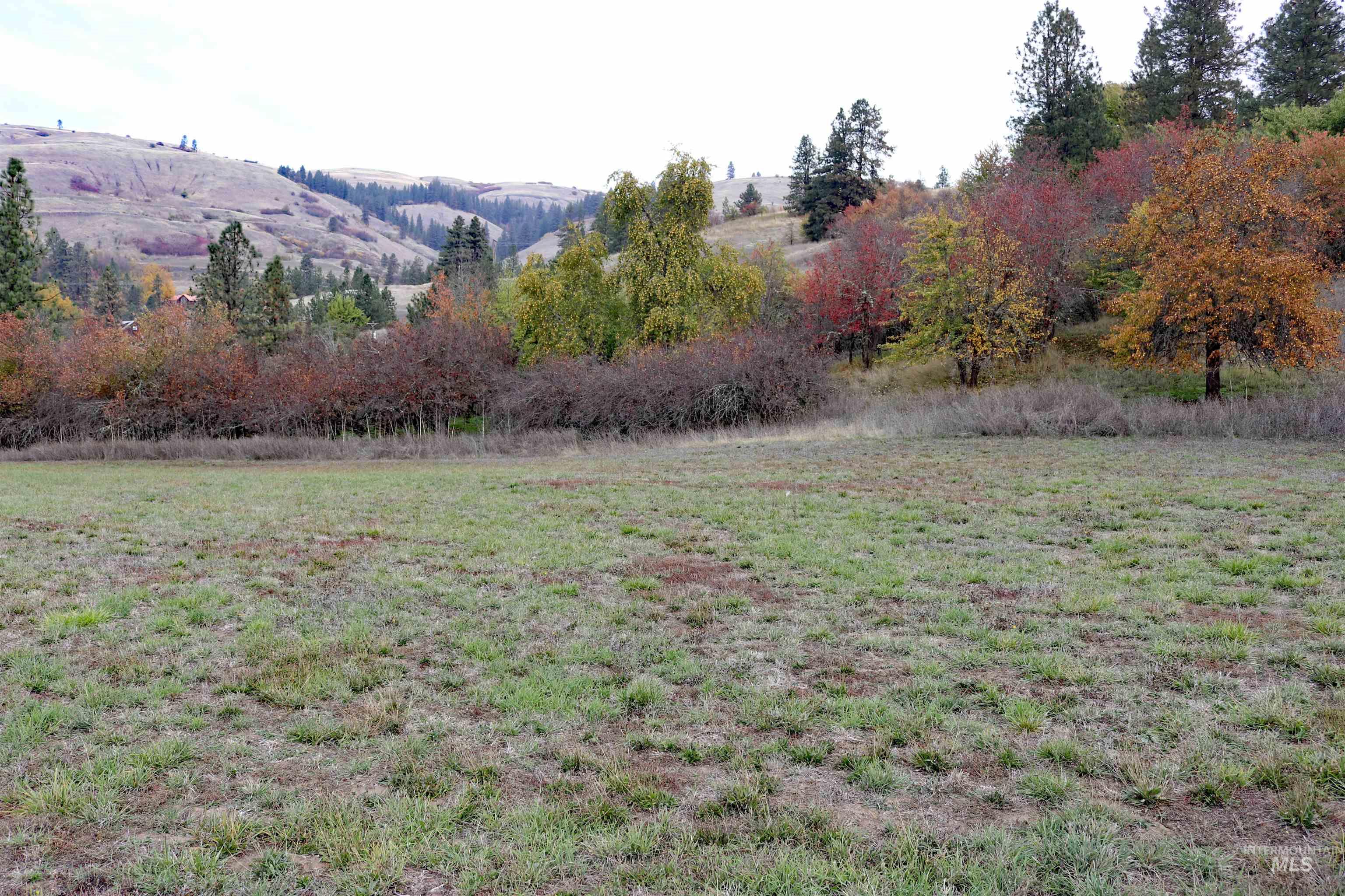 19975 Orchard Lane, Lenore, Idaho 83541, Land For Sale, Price $345,000, 98965920