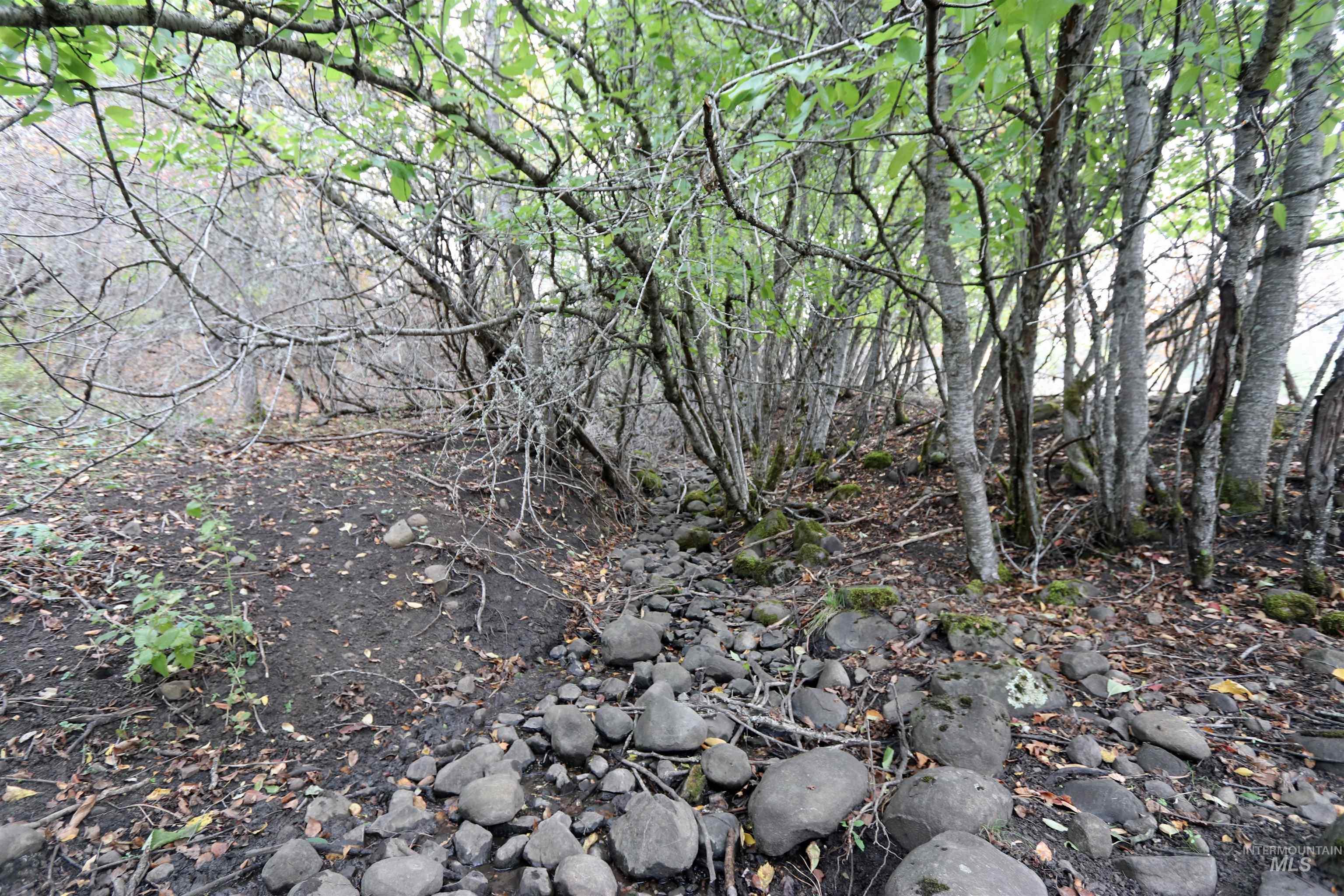 19975 Orchard Lane, Lenore, Idaho 83541, Land For Sale, Price $345,000, 98965920