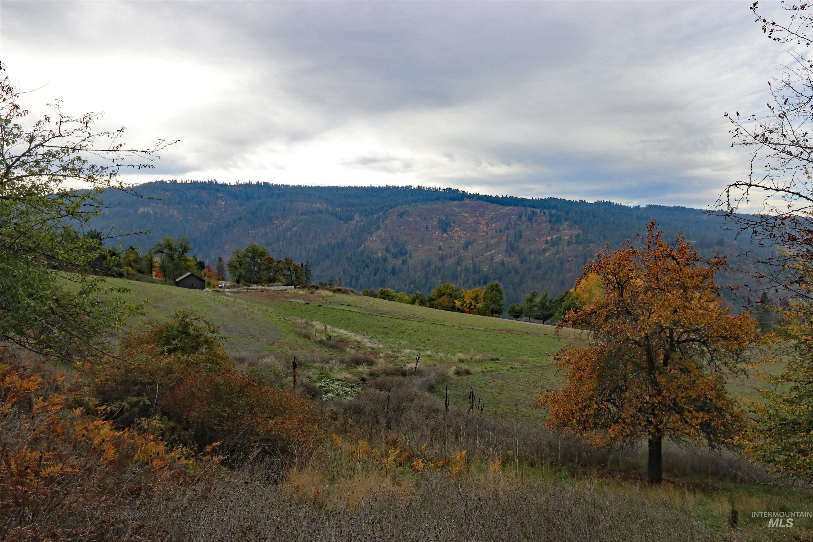 19975 Orchard Lane, Lenore, Idaho 83541, Land For Sale, Price $345,000, 98965920