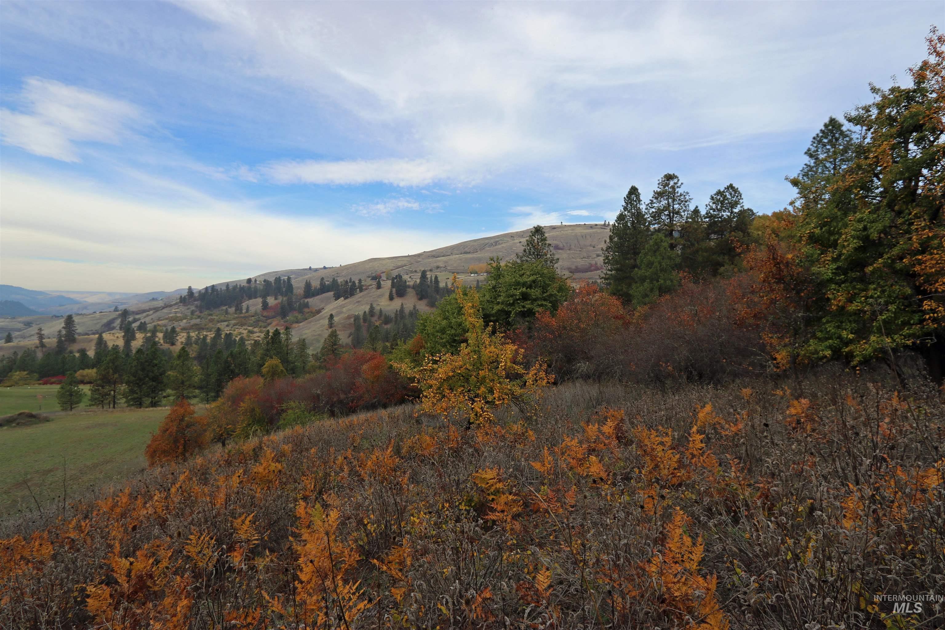 19975 Orchard Lane, Lenore, Idaho 83541, Land For Sale, Price $345,000, 98965920