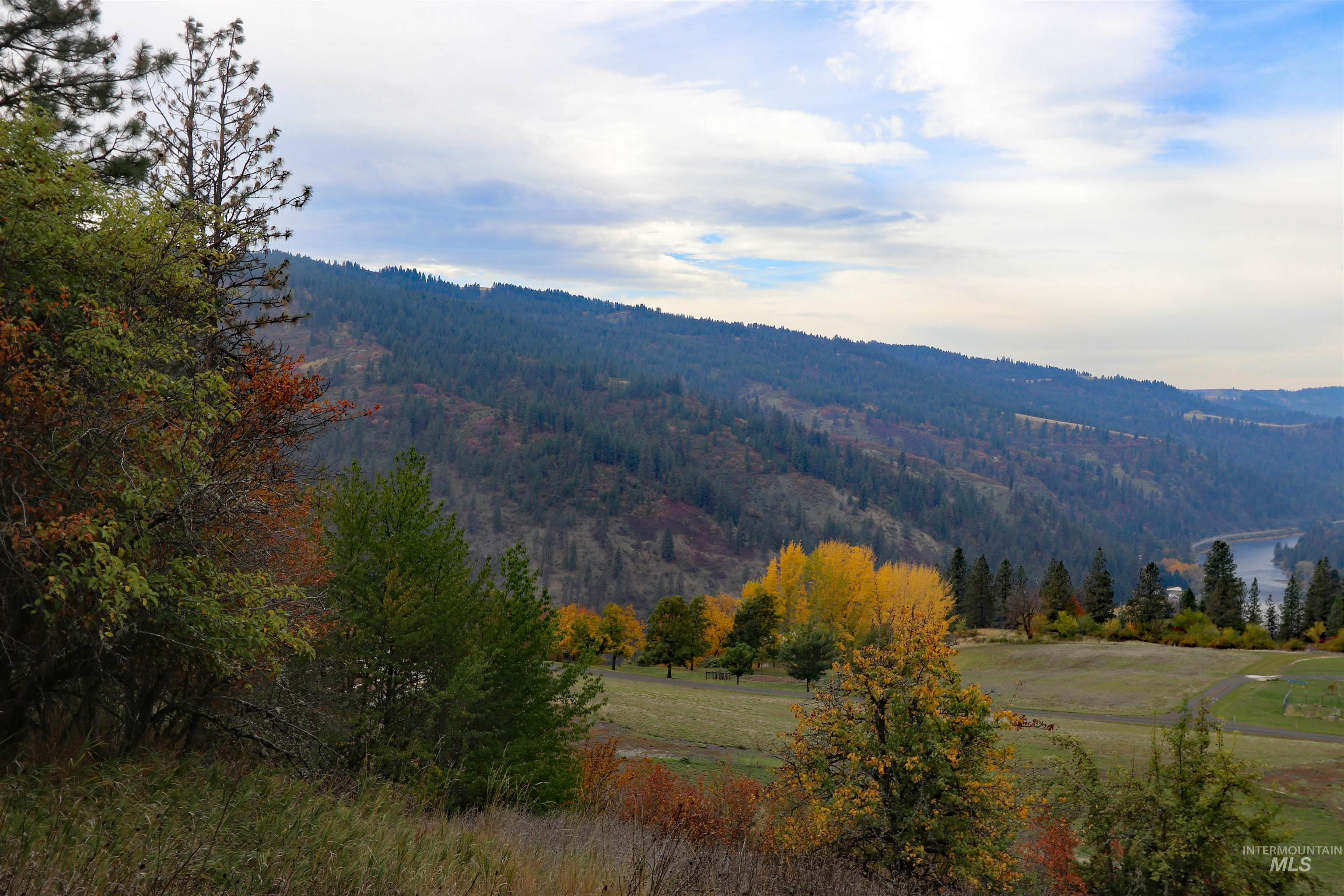 19975 Orchard Lane, Lenore, Idaho 83541, Land For Sale, Price $345,000, 98965920