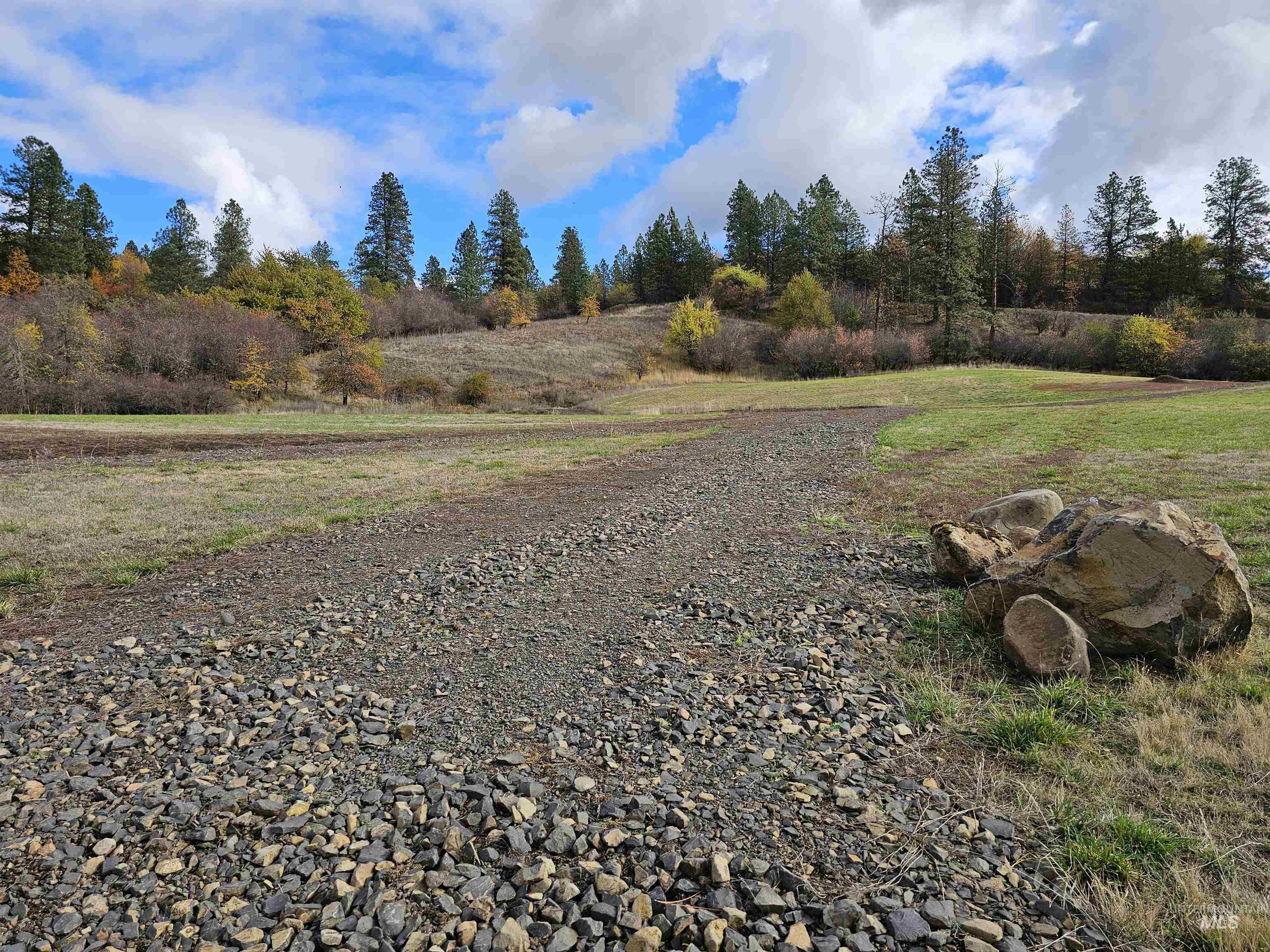 19975 Orchard Lane, Lenore, Idaho 83541, Land For Sale, Price $345,000, 98965920