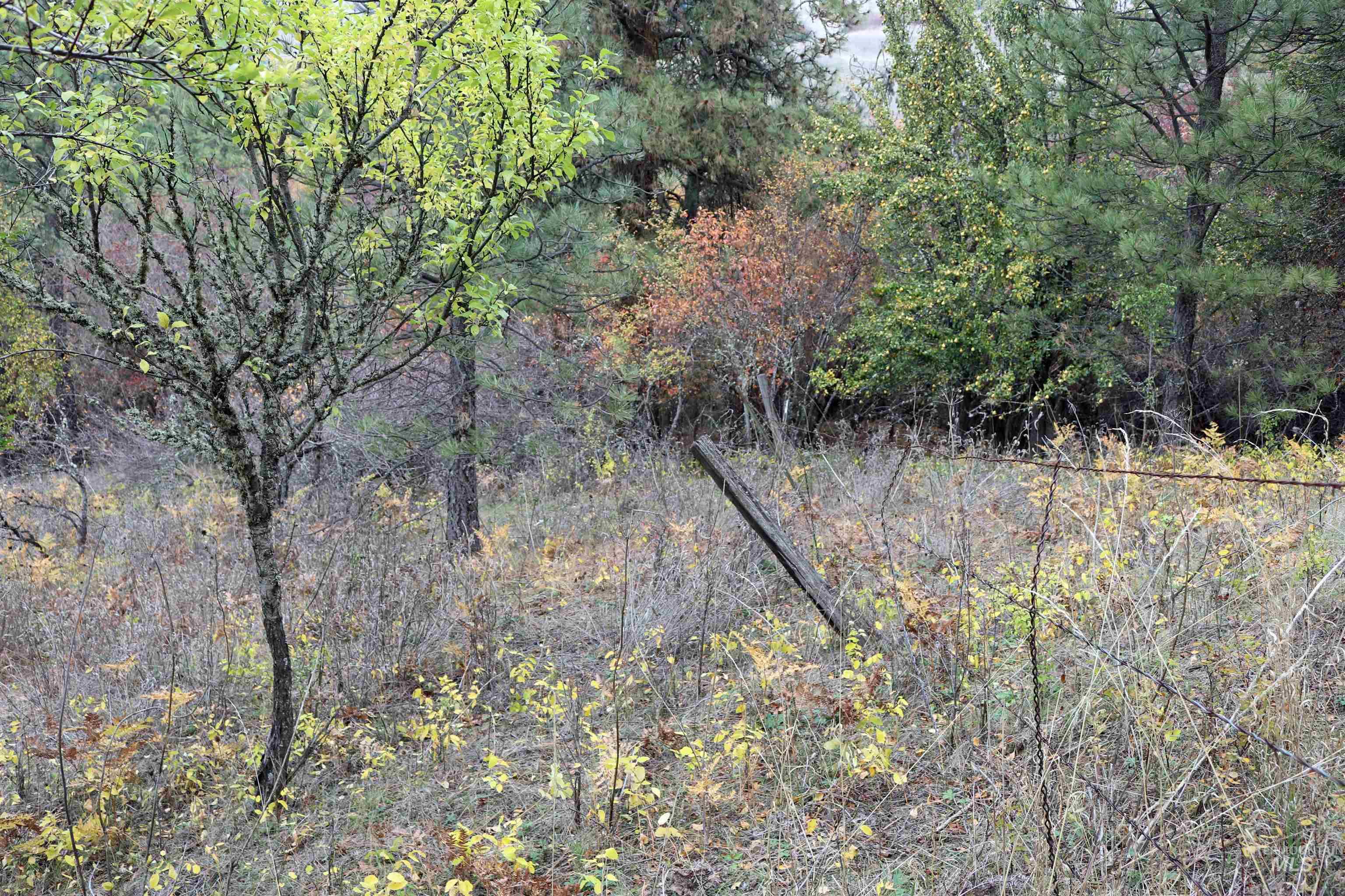 19975 Orchard Lane, Lenore, Idaho 83541, Land For Sale, Price $345,000, 98965920