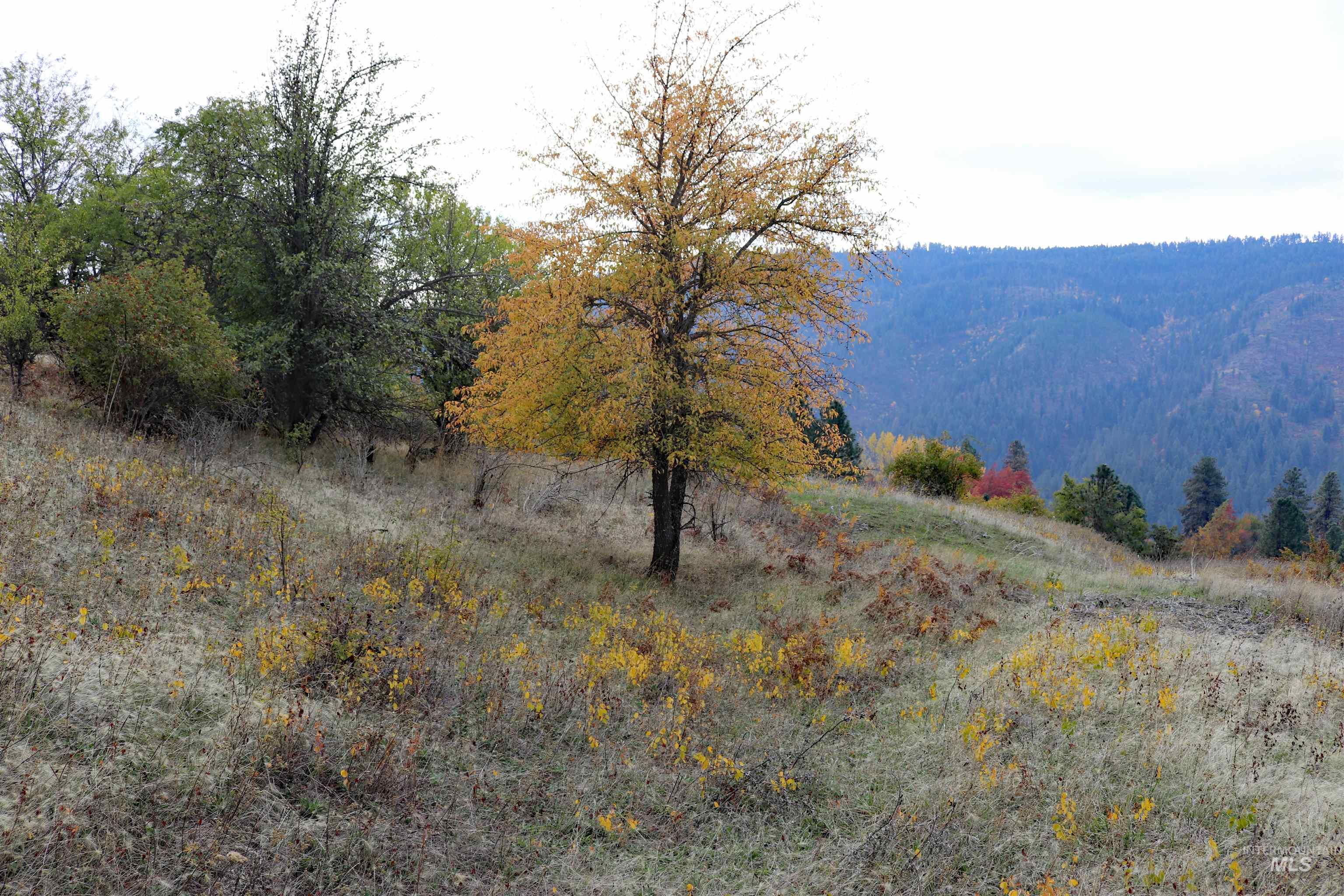 19975 Orchard Lane, Lenore, Idaho 83541, Land For Sale, Price $345,000, 98965920