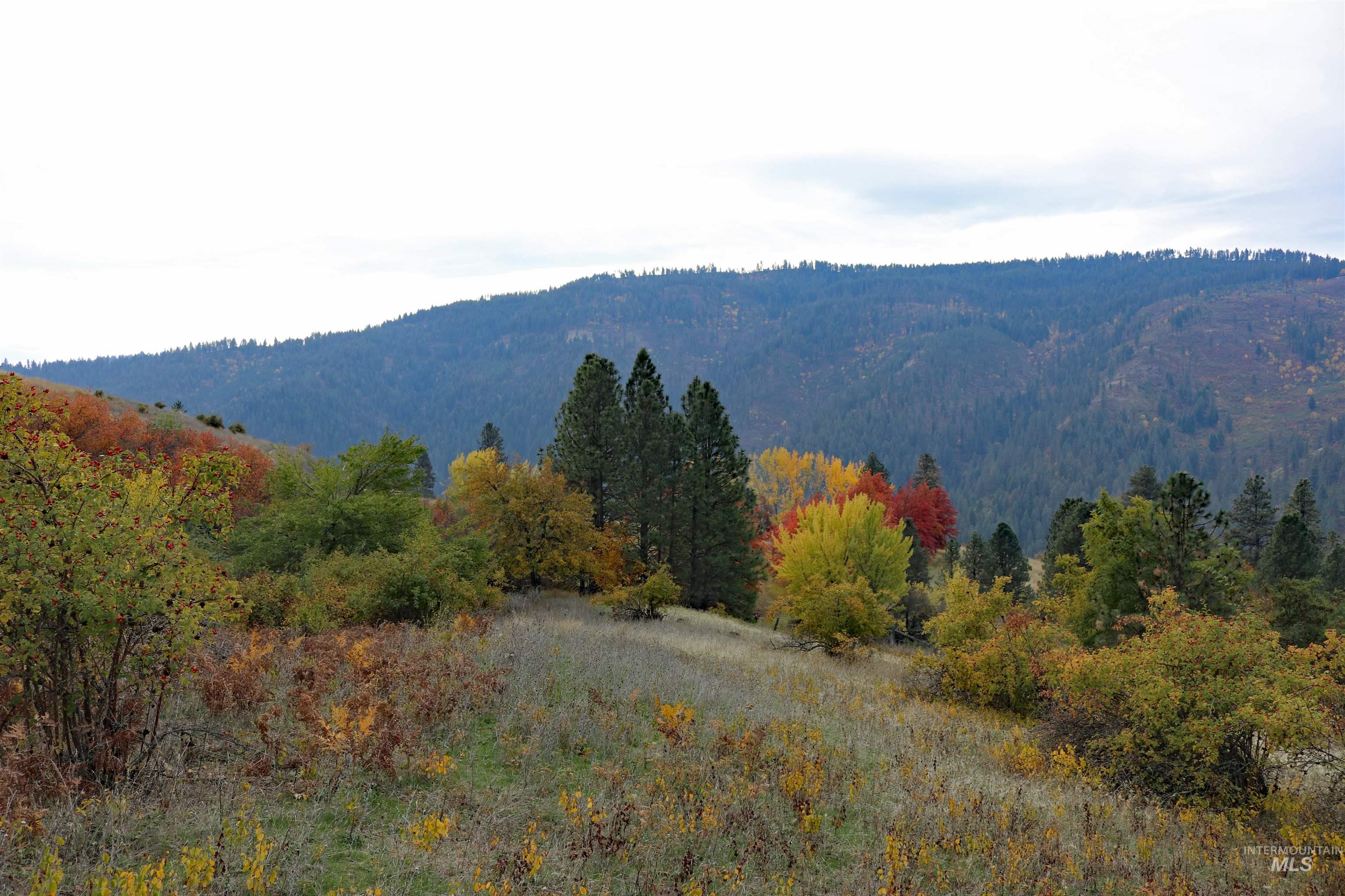 19975 Orchard Lane, Lenore, Idaho 83541, Land For Sale, Price $345,000, 98965920