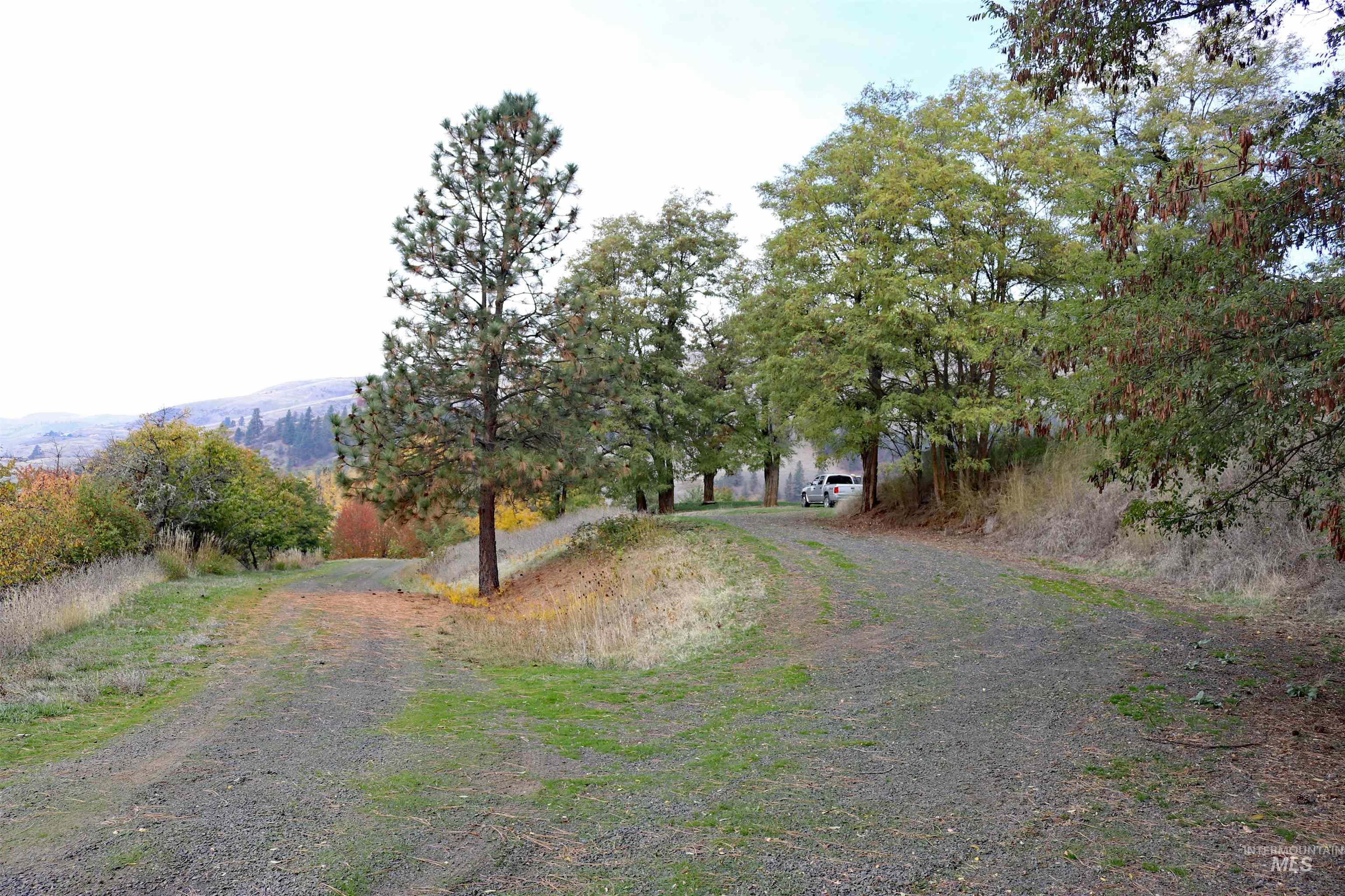 19975 Orchard Lane, Lenore, Idaho 83541, Land For Sale, Price $345,000, 98965920