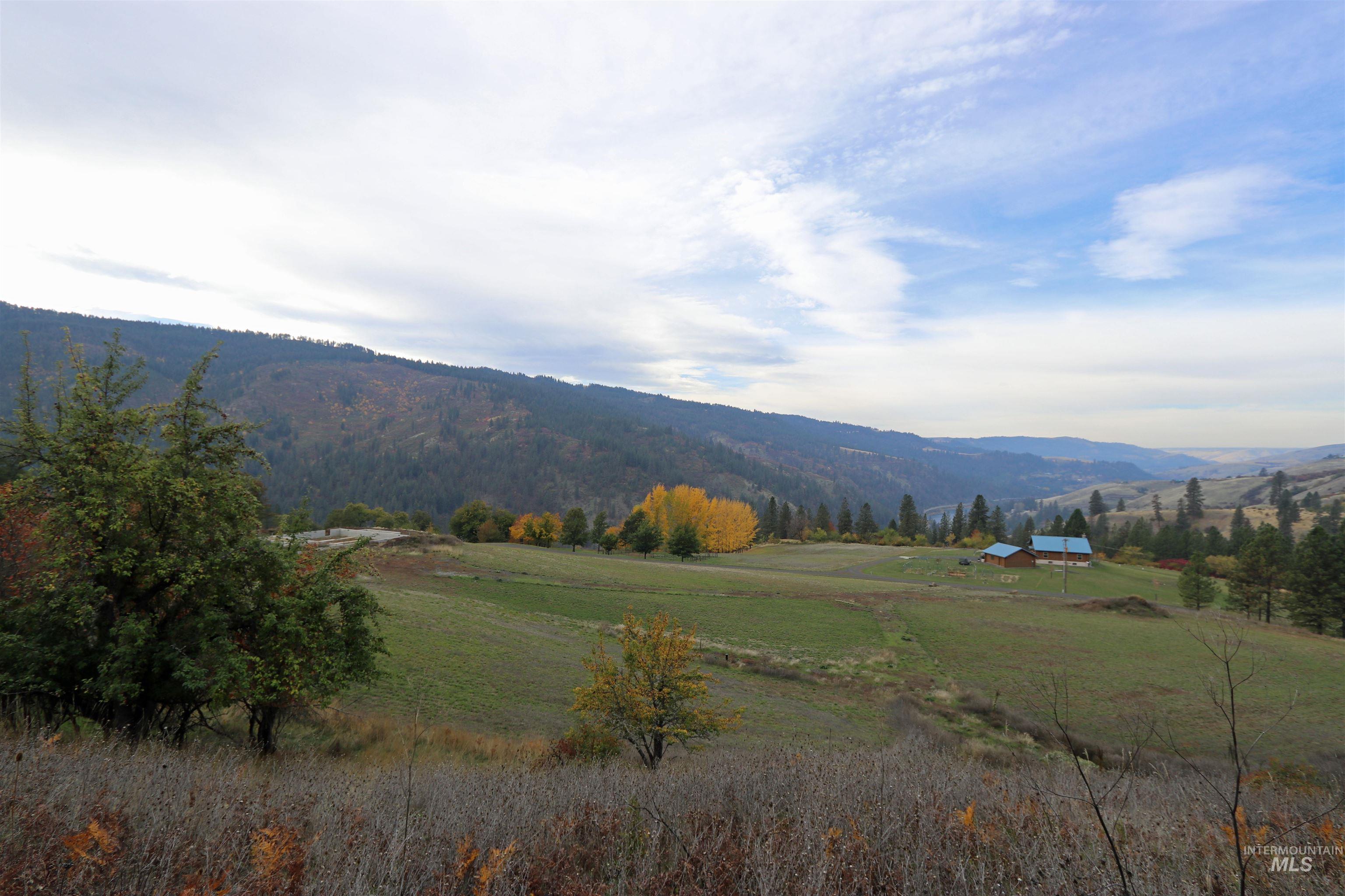 19975 Orchard Lane, Lenore, Idaho 83541, Land For Sale, Price $345,000, 98965920
