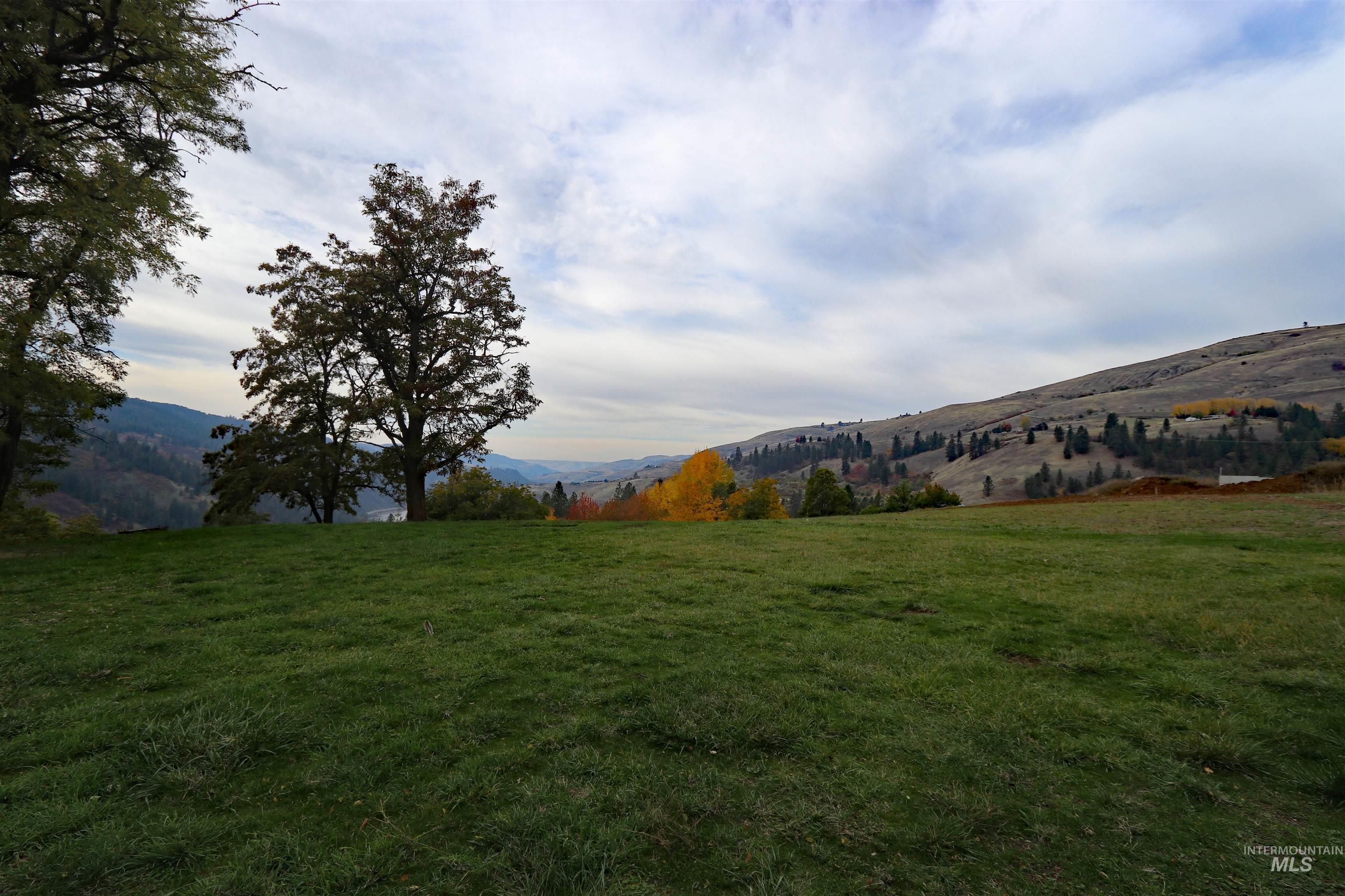 19975 Orchard Lane, Lenore, Idaho 83541, Land For Sale, Price $345,000, 98965920