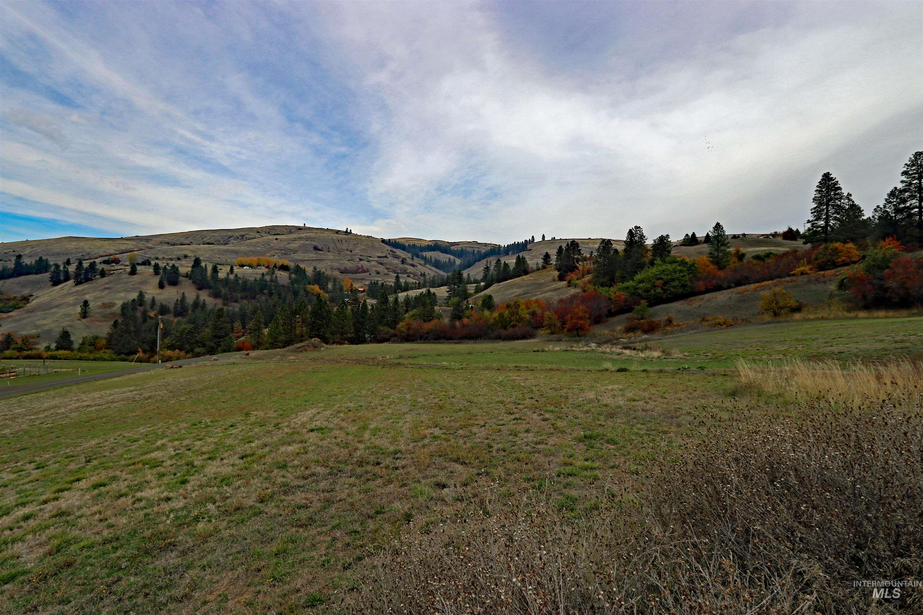 19975 Orchard Lane, Lenore, Idaho 83541, Land For Sale, Price $345,000, 98965920