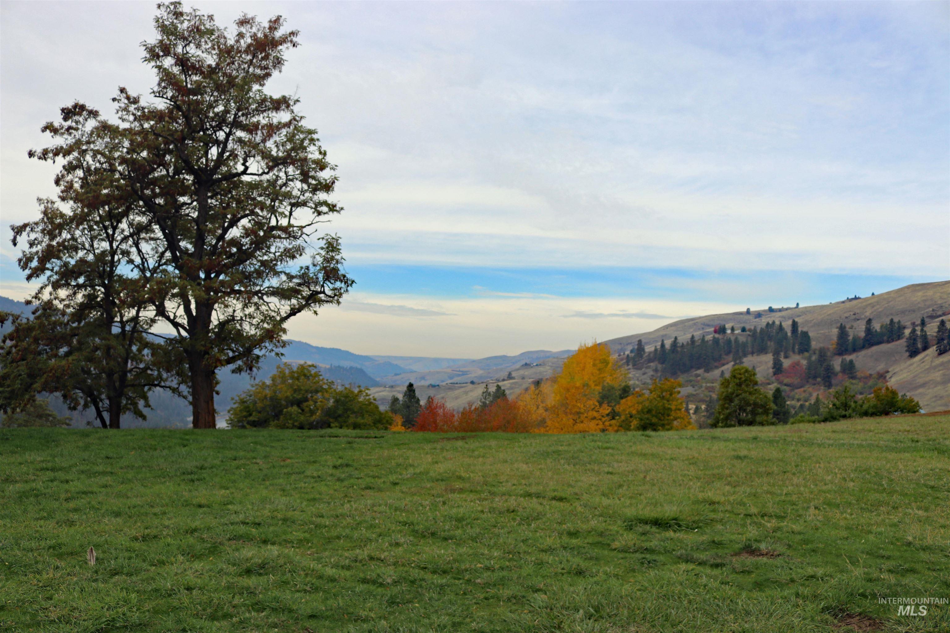 19975 Orchard Lane, Lenore, Idaho 83541, Land For Sale, Price $345,000, 98965920