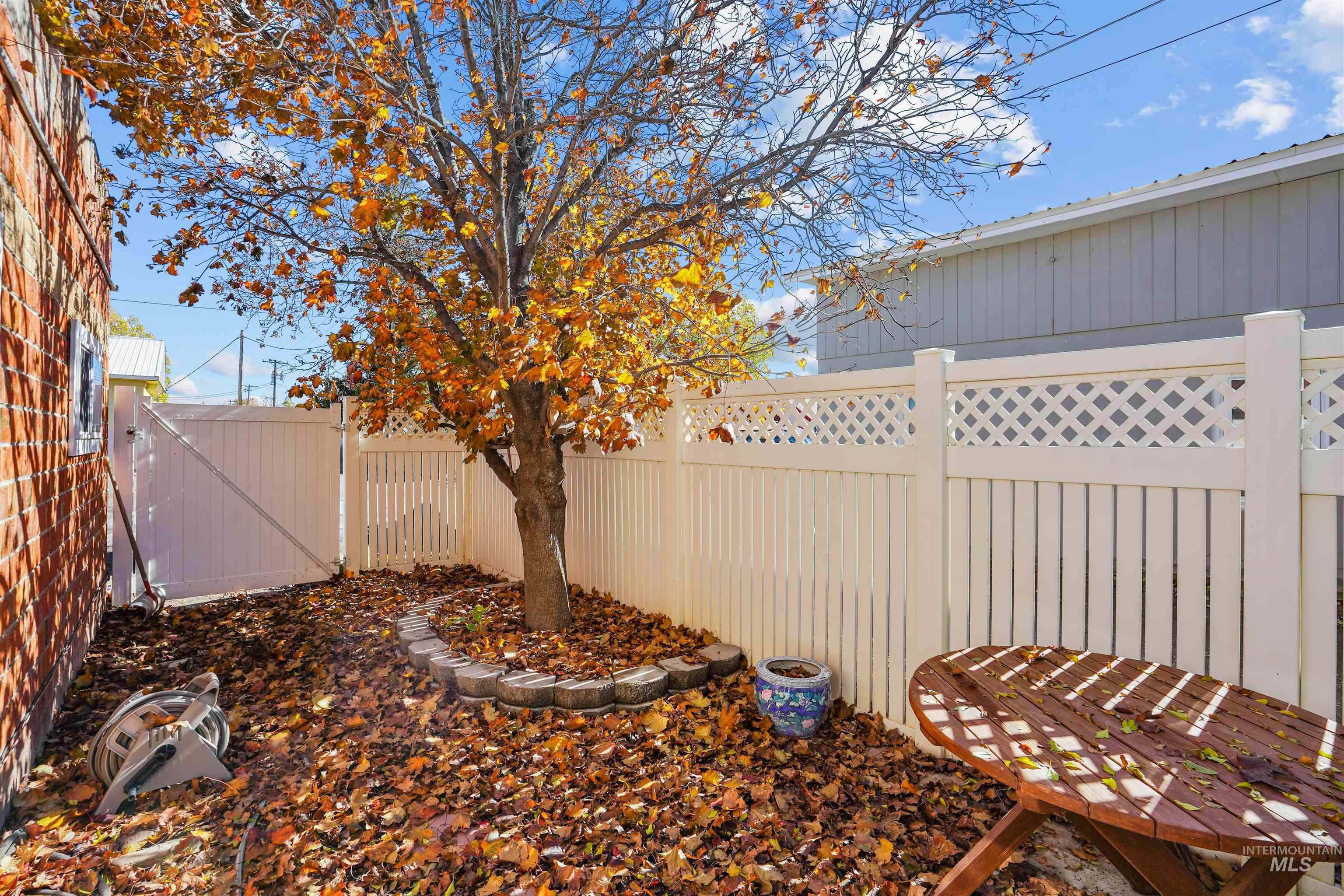 View of fenced backyard