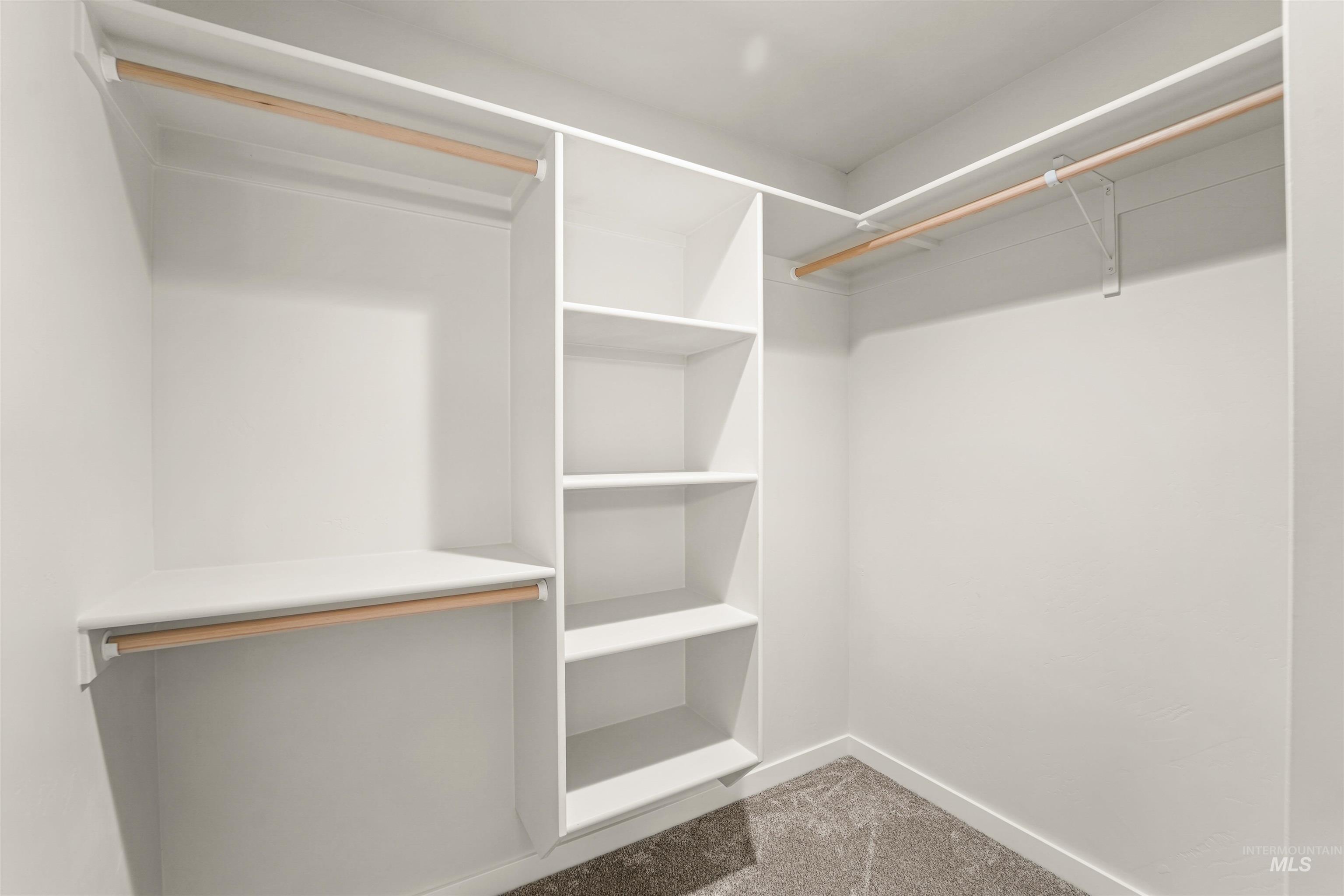 Spacious closet featuring carpet