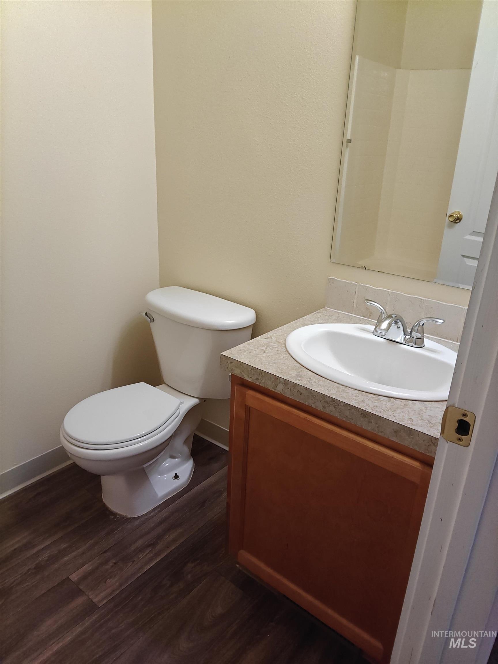 Bathroom with dark wood-style flooring and vanity