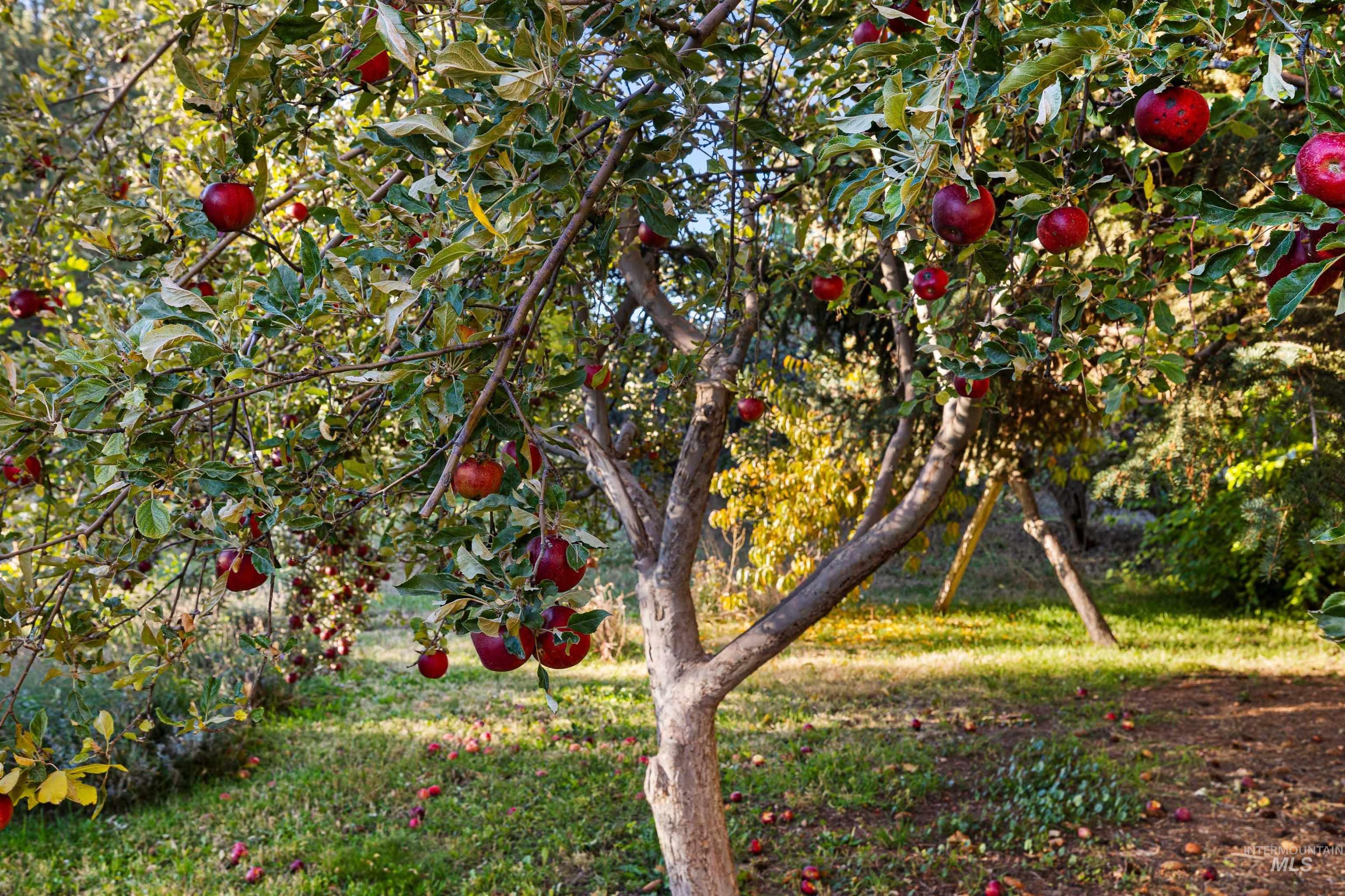 2539 E 3700 N, Twin Falls, Idaho 83301, 4 Bedrooms, 2 Bathrooms, Residential For Sale, Price $330,000, 98965968