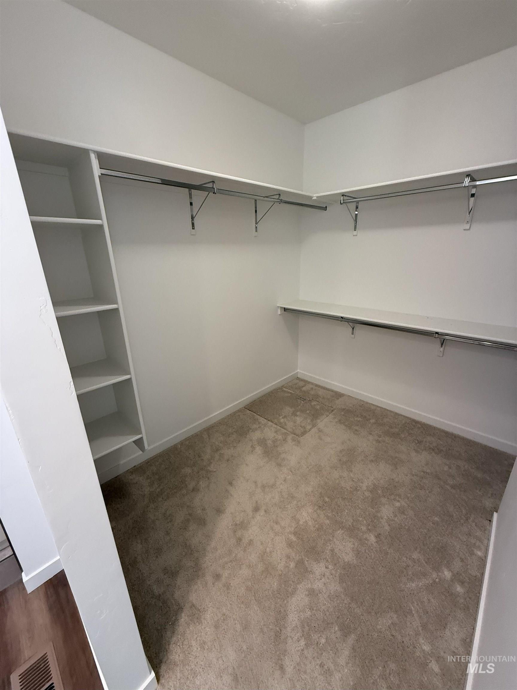 primary bedroom with large walk in closet featuring  carpet, shelving and ample storage.