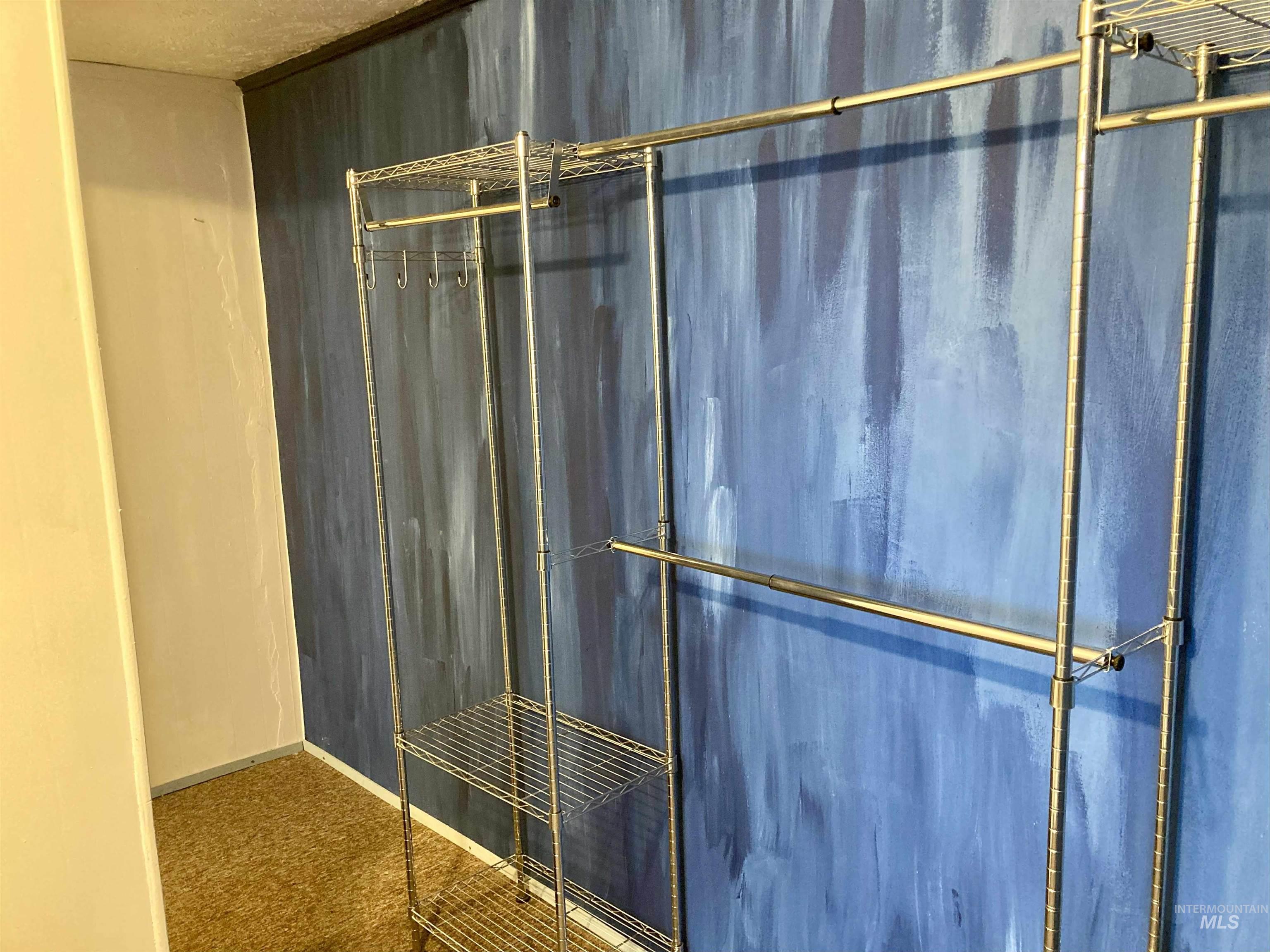 Spacious closet featuring carpet