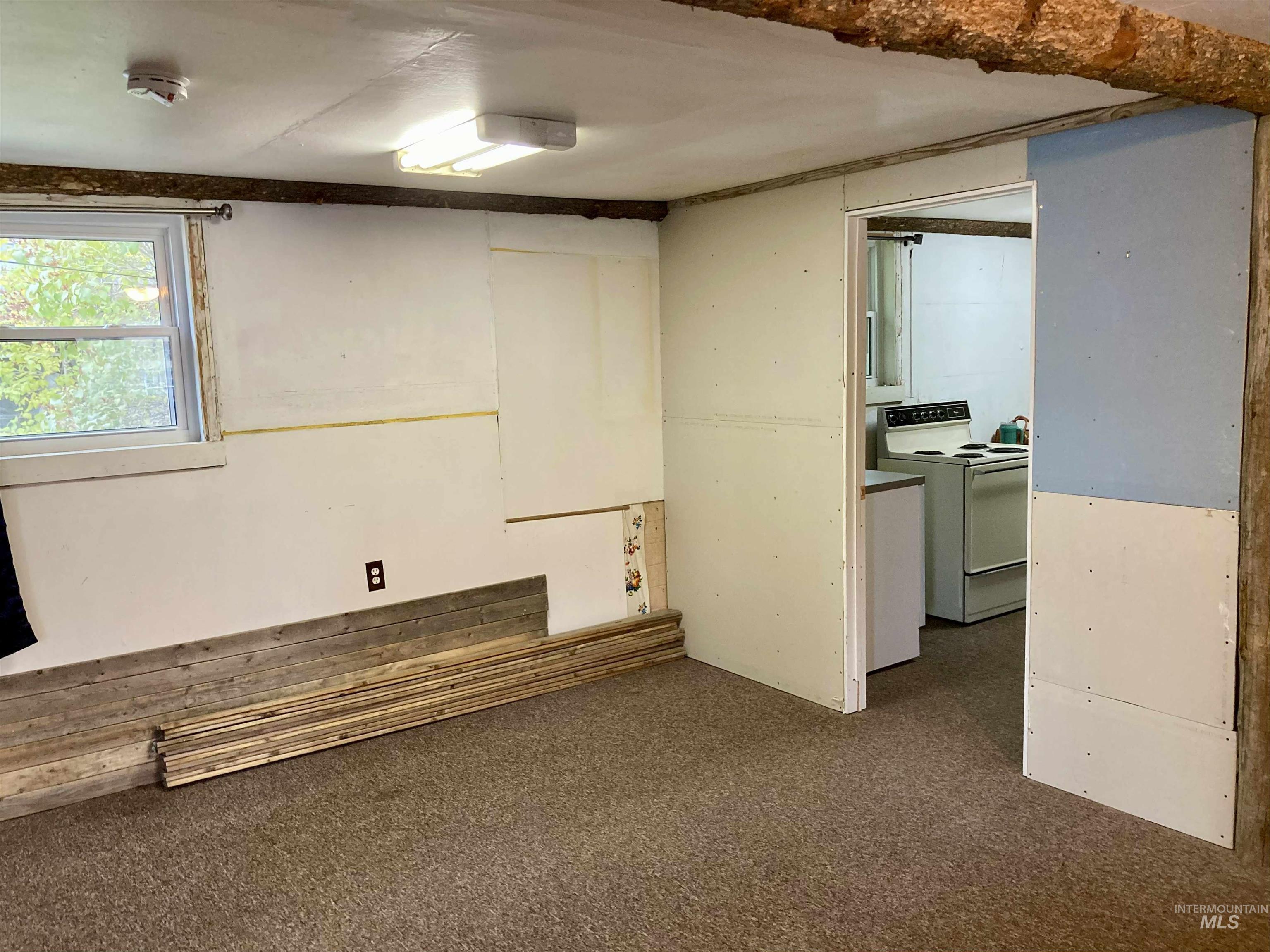 Below grade area with dark colored carpet