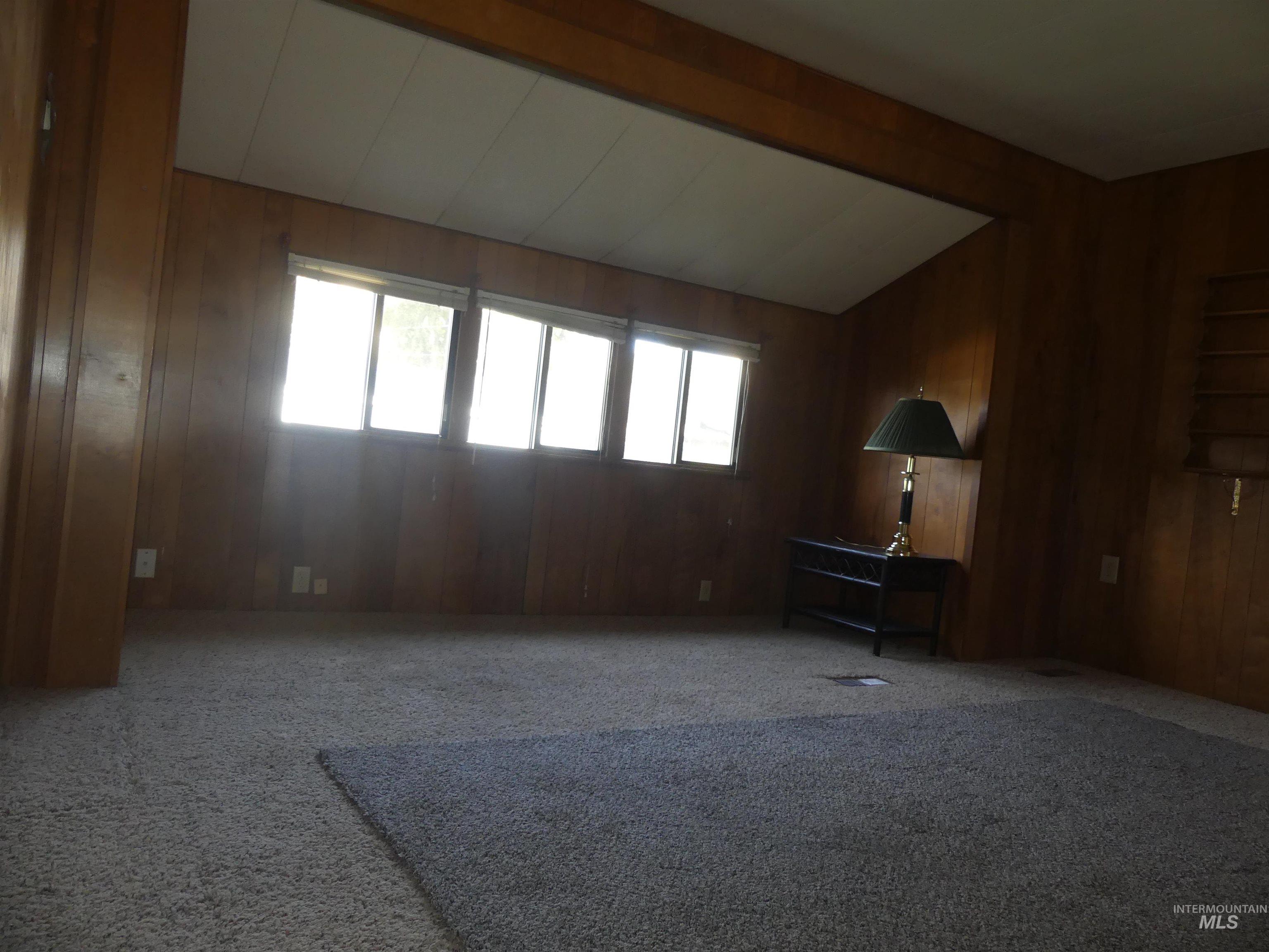 Carpeted spare room with wood walls and plenty of natural light