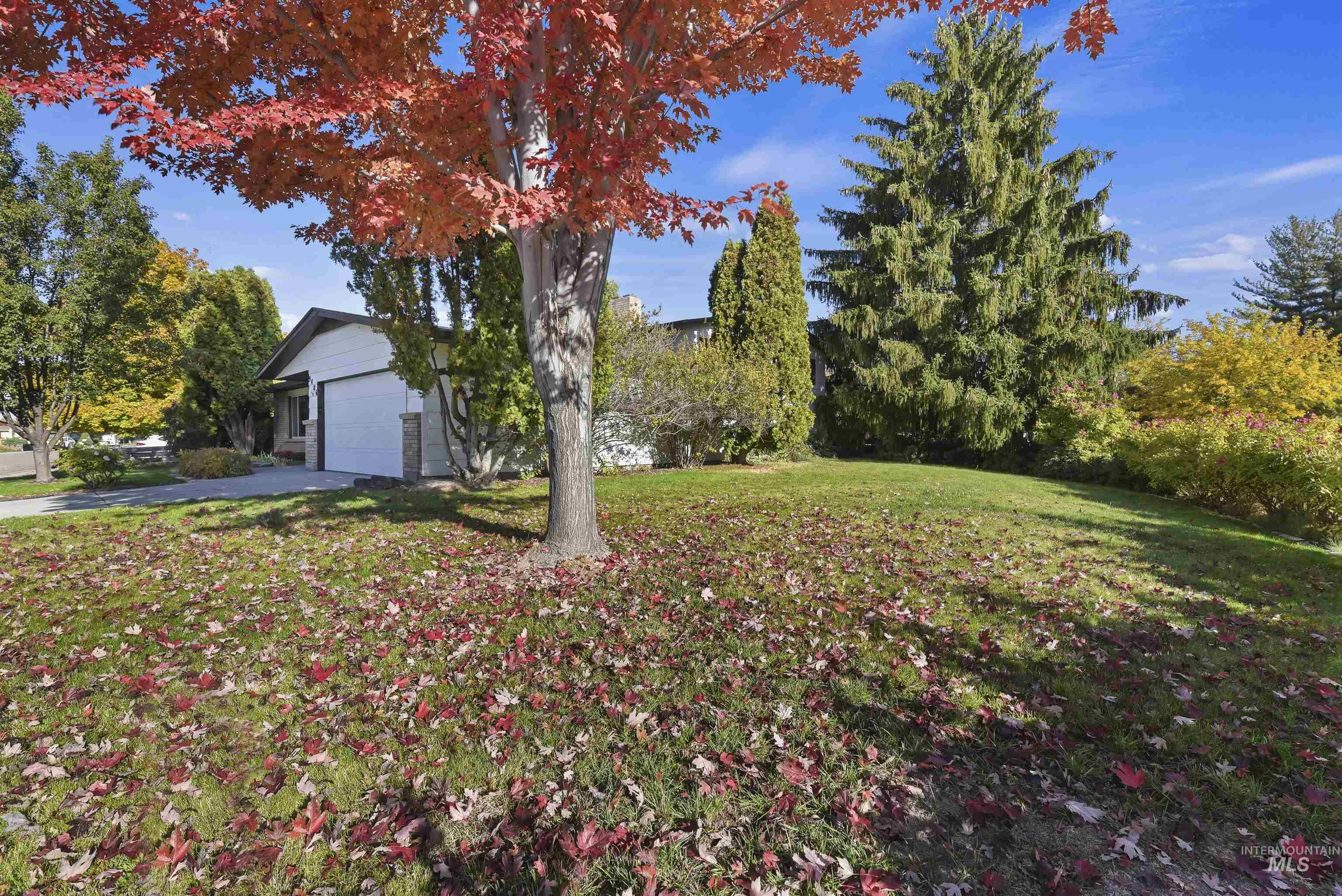 View of grassy yard with a garage and driveway