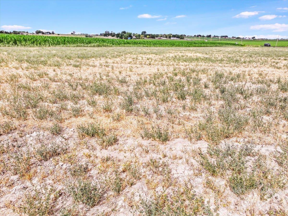 View of undeveloped land featuring rural landscape